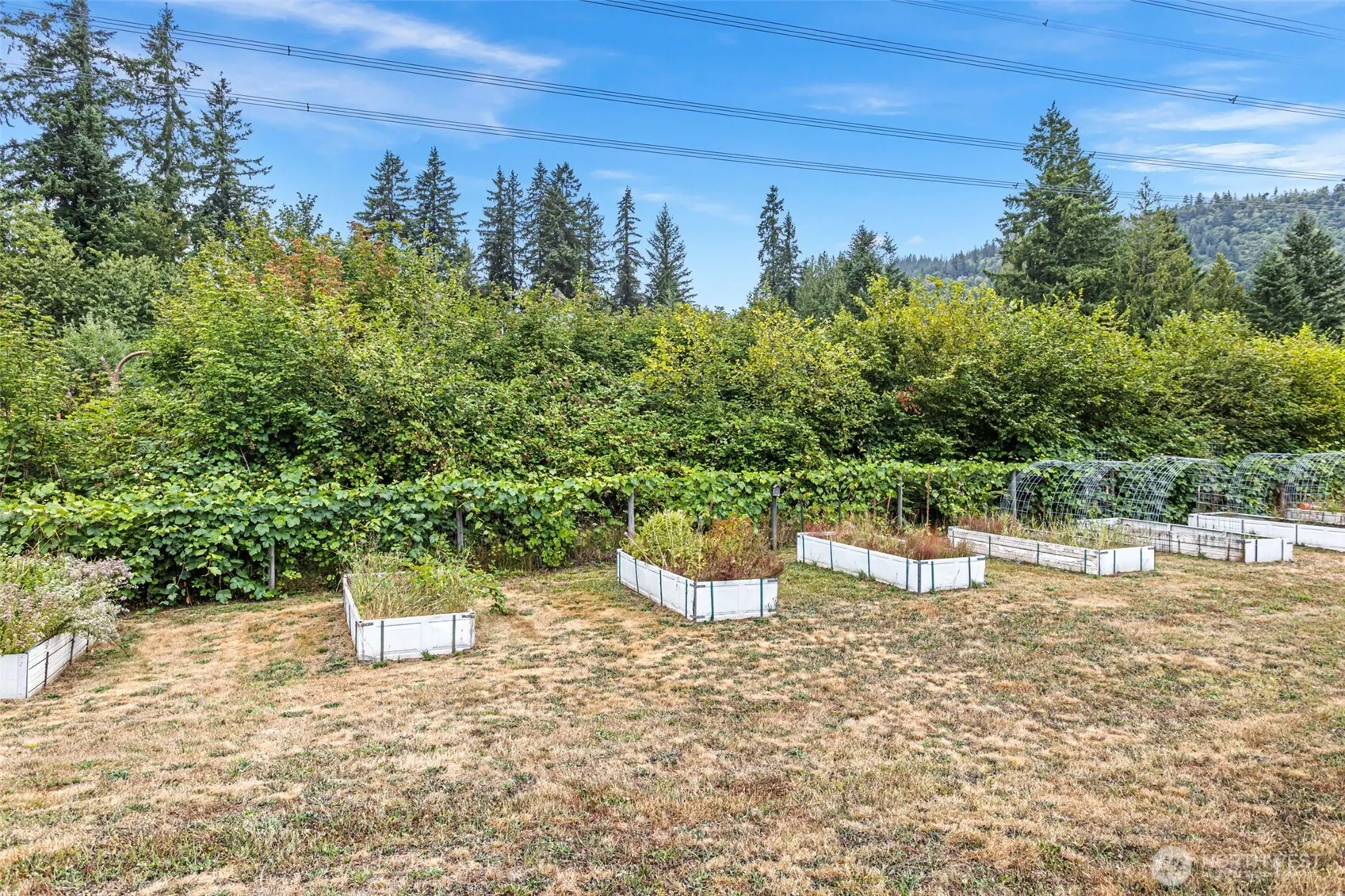 16824 266th Avenue SE, Issaquah, WA 98027