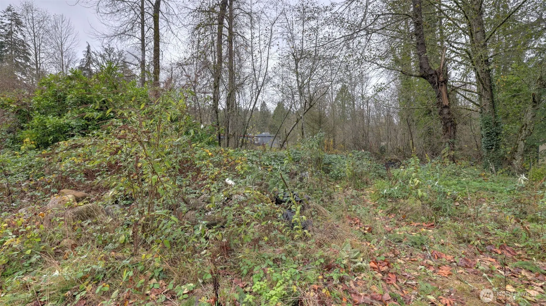 174 SE 196th Drive , Renton, WA 98058