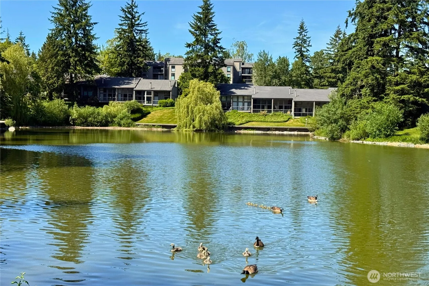 13932 NE 60th Street #150, Redmond, WA 98052