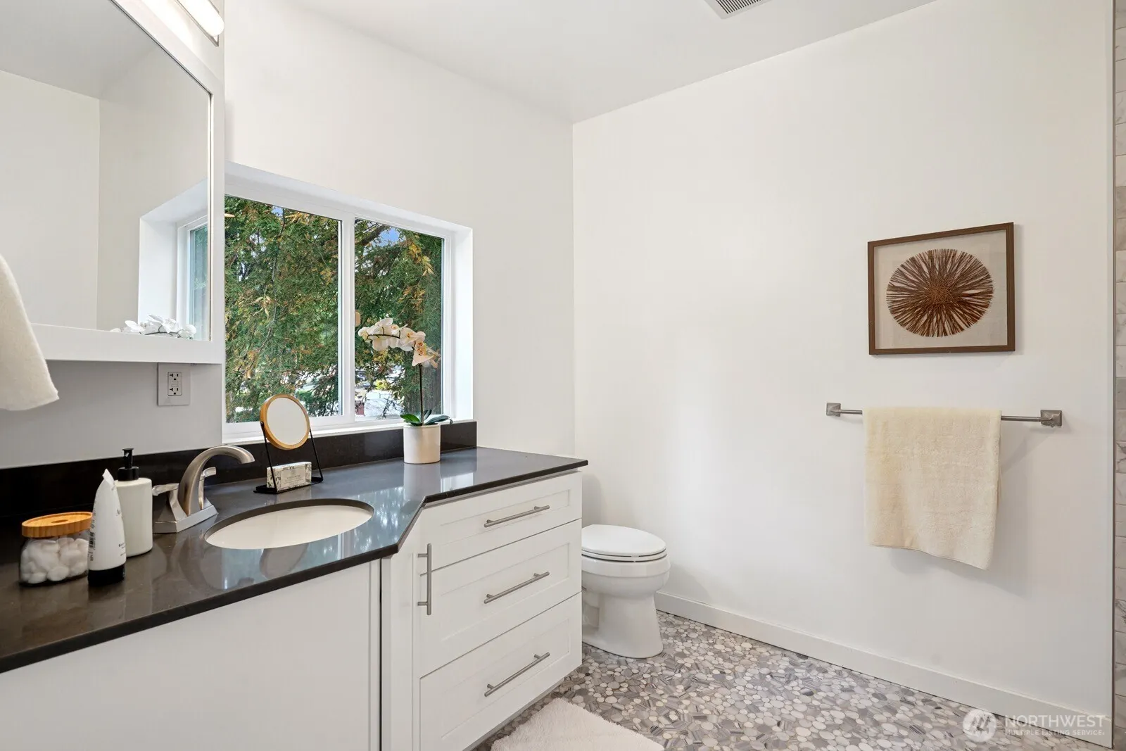 1326 145th Avenue SE, Bellevue, WA 98007-5637