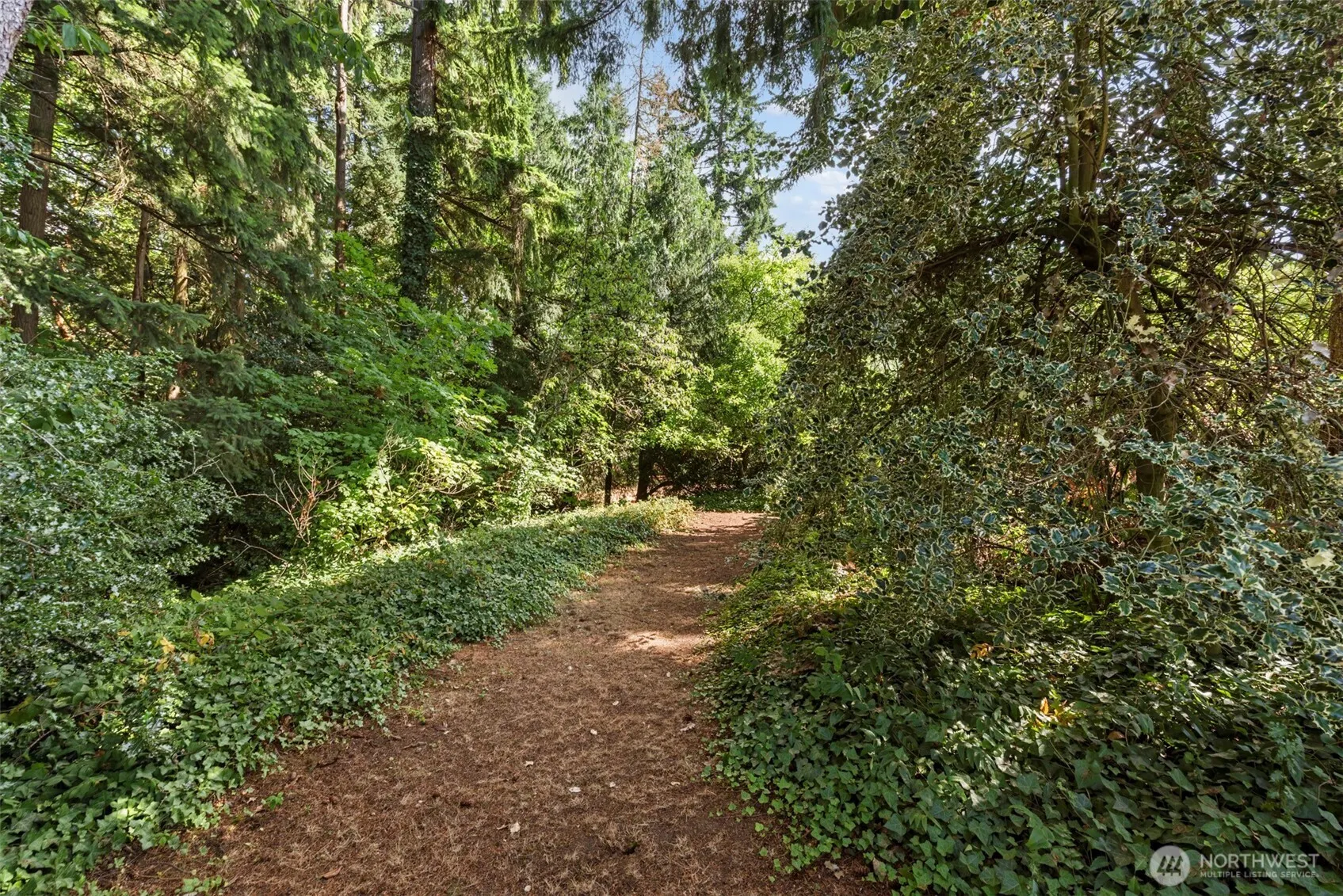 5318 128th Avenue SE, Bellevue, WA 98006