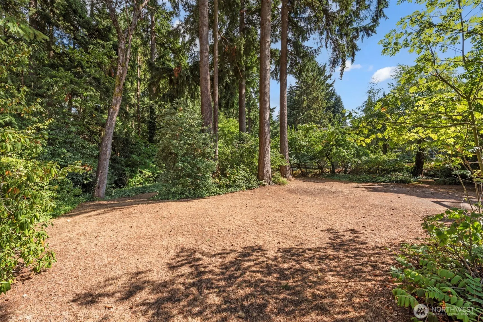 5318 128th Avenue SE, Bellevue, WA 98006