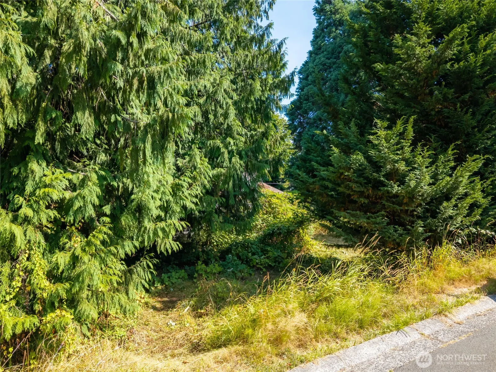 15304 44th Avenue W, Lynnwood, WA 98087