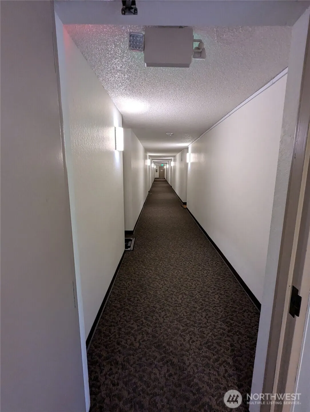 1175 Harrington Place NE #305, Renton, WA 98056