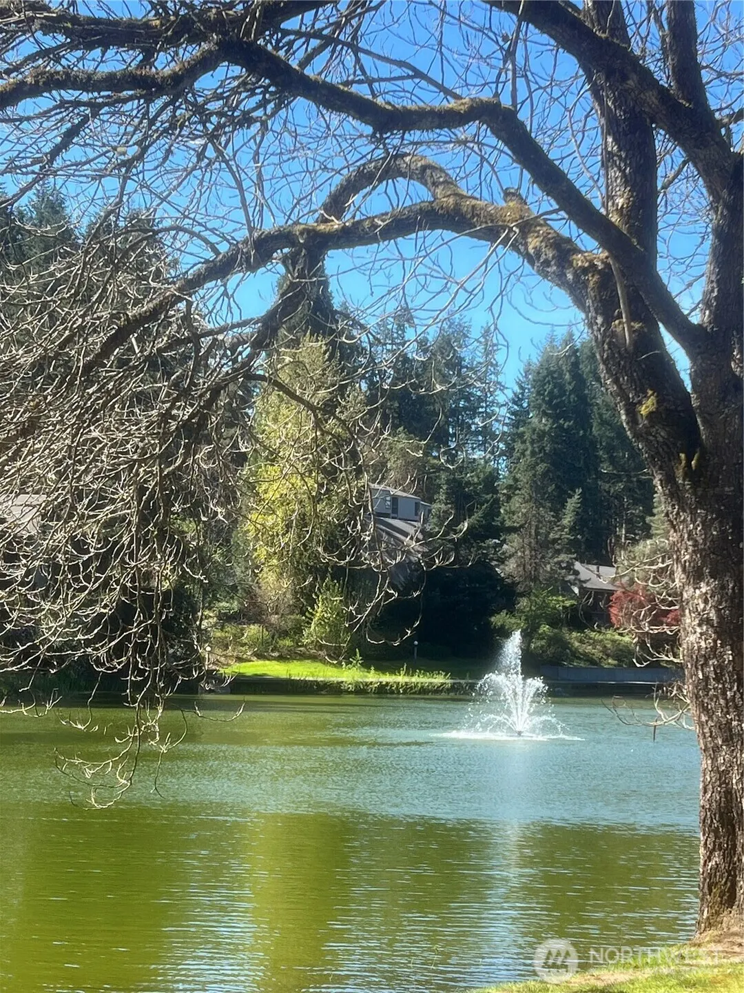 13932 NE 60th #155, Redmond, WA 98052