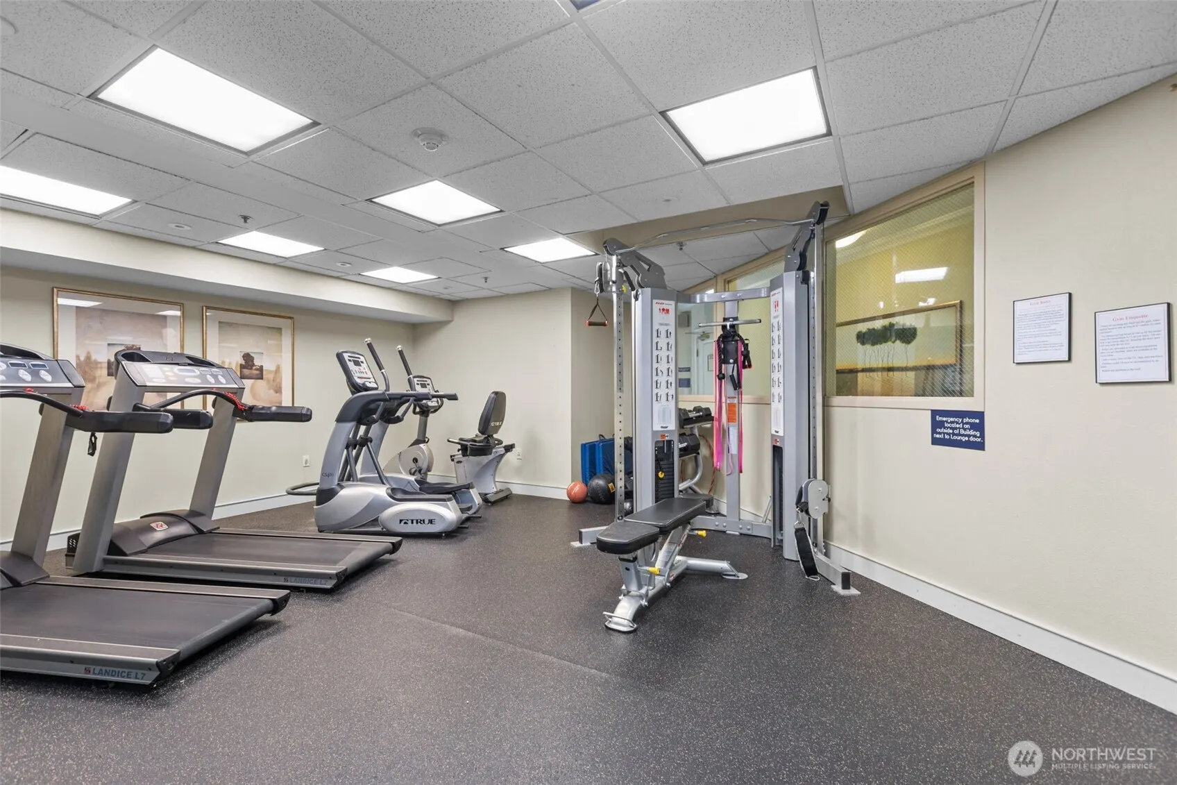 1525 NW 57th Street #303, Seattle, WA 98107