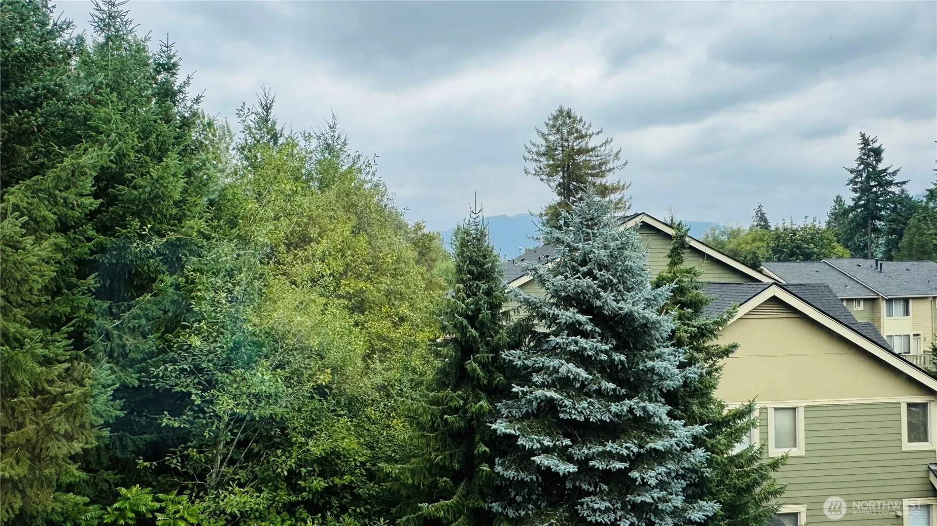 444 Shangrila Way NW, Issaquah, WA 98027