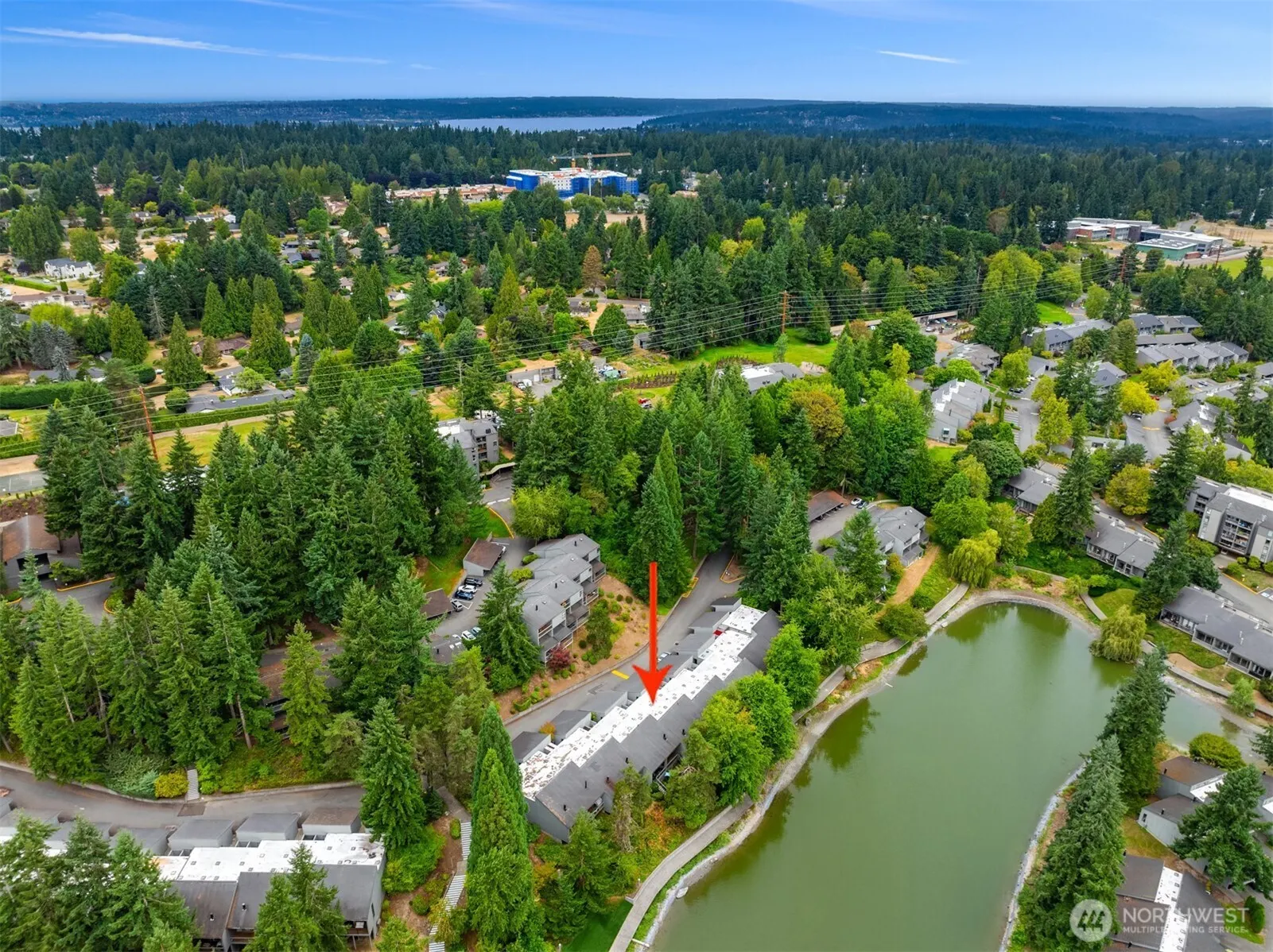 6356 138th Avenue NE #213, Redmond, WA 98052