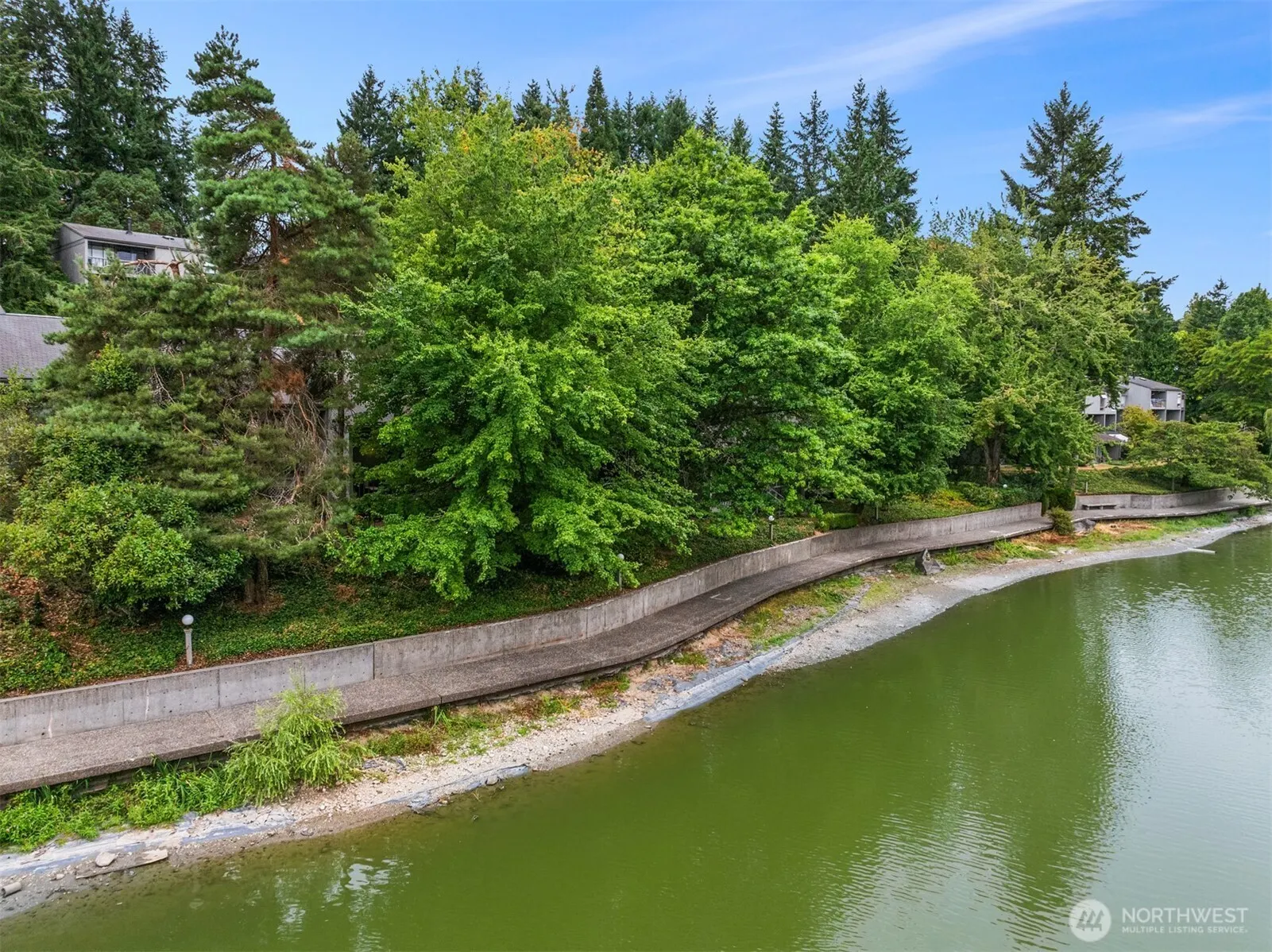 6356 138th Avenue NE #213, Redmond, WA 98052