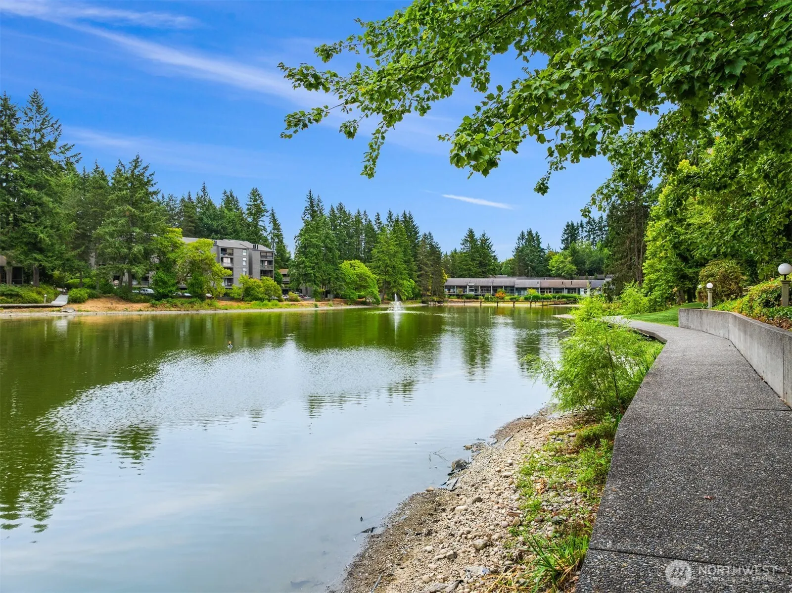 6356 138th Avenue NE #213, Redmond, WA 98052