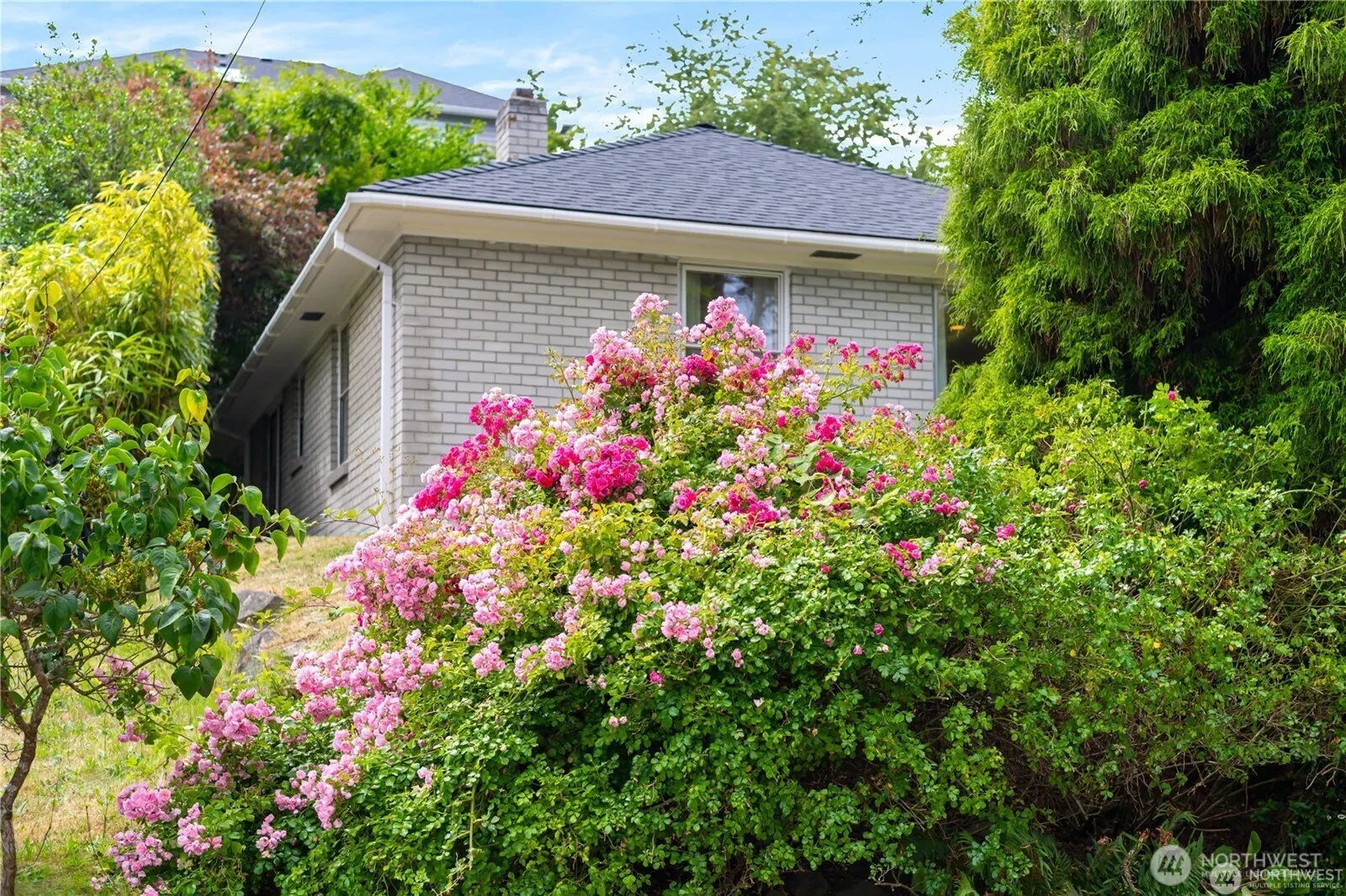 4052 Williams Avenue W, Seattle, WA 98199