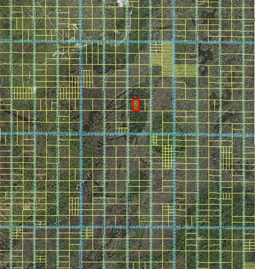 HOLOPAW GROVES RD