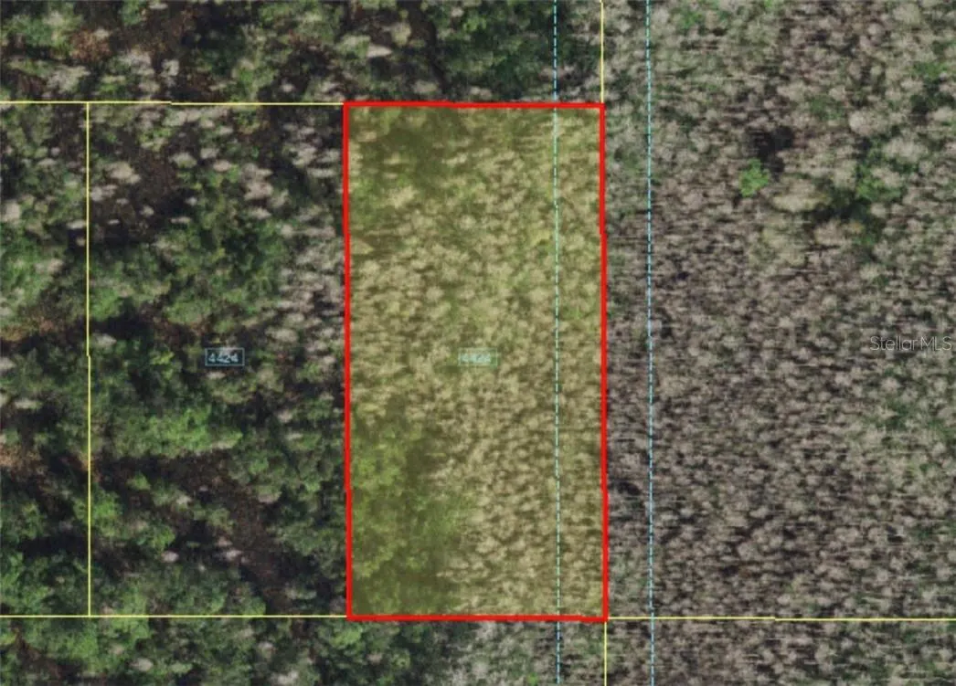 HOLOPAW GROVES RD