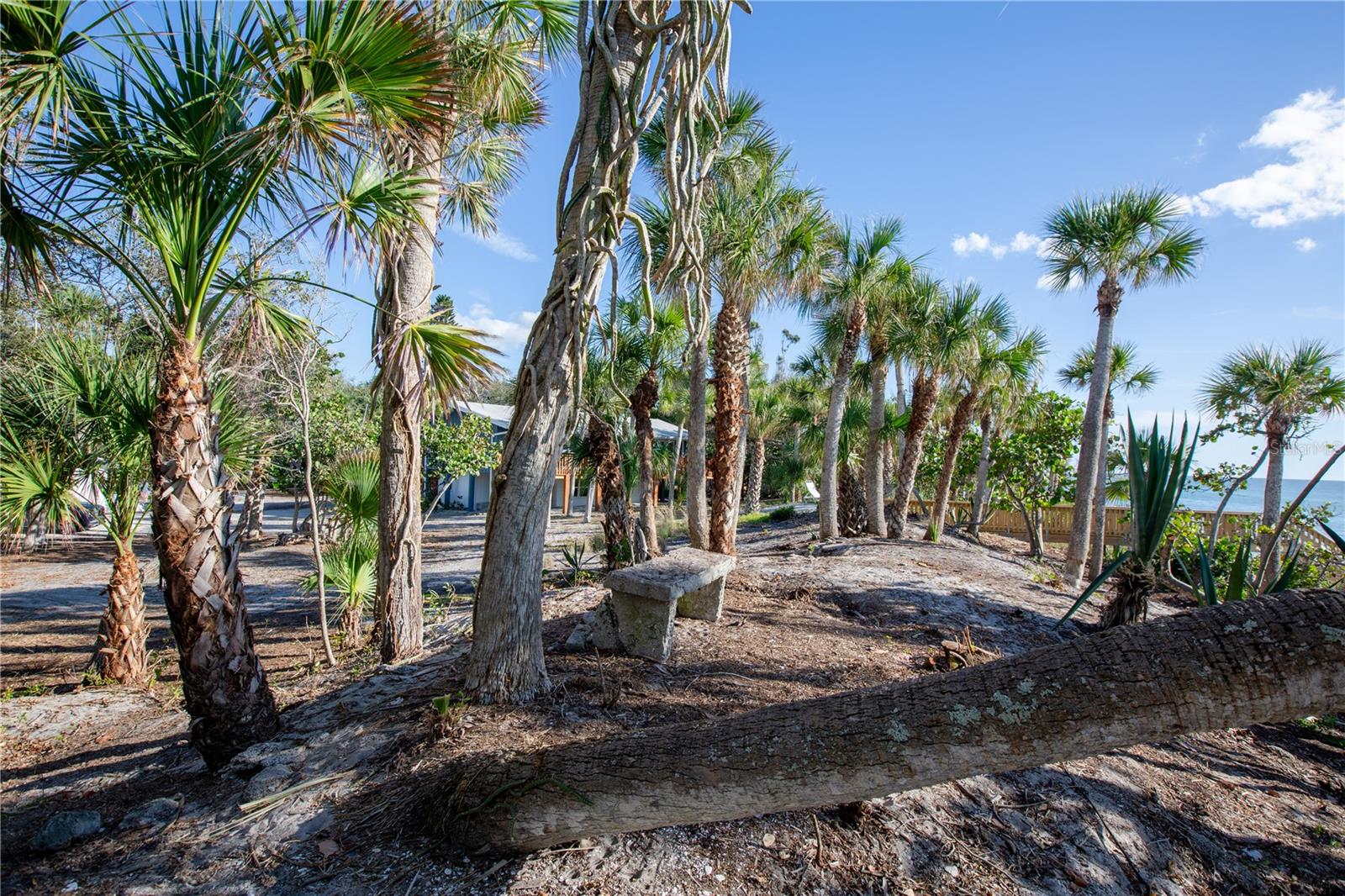 7720 MANASOTA KEY RD