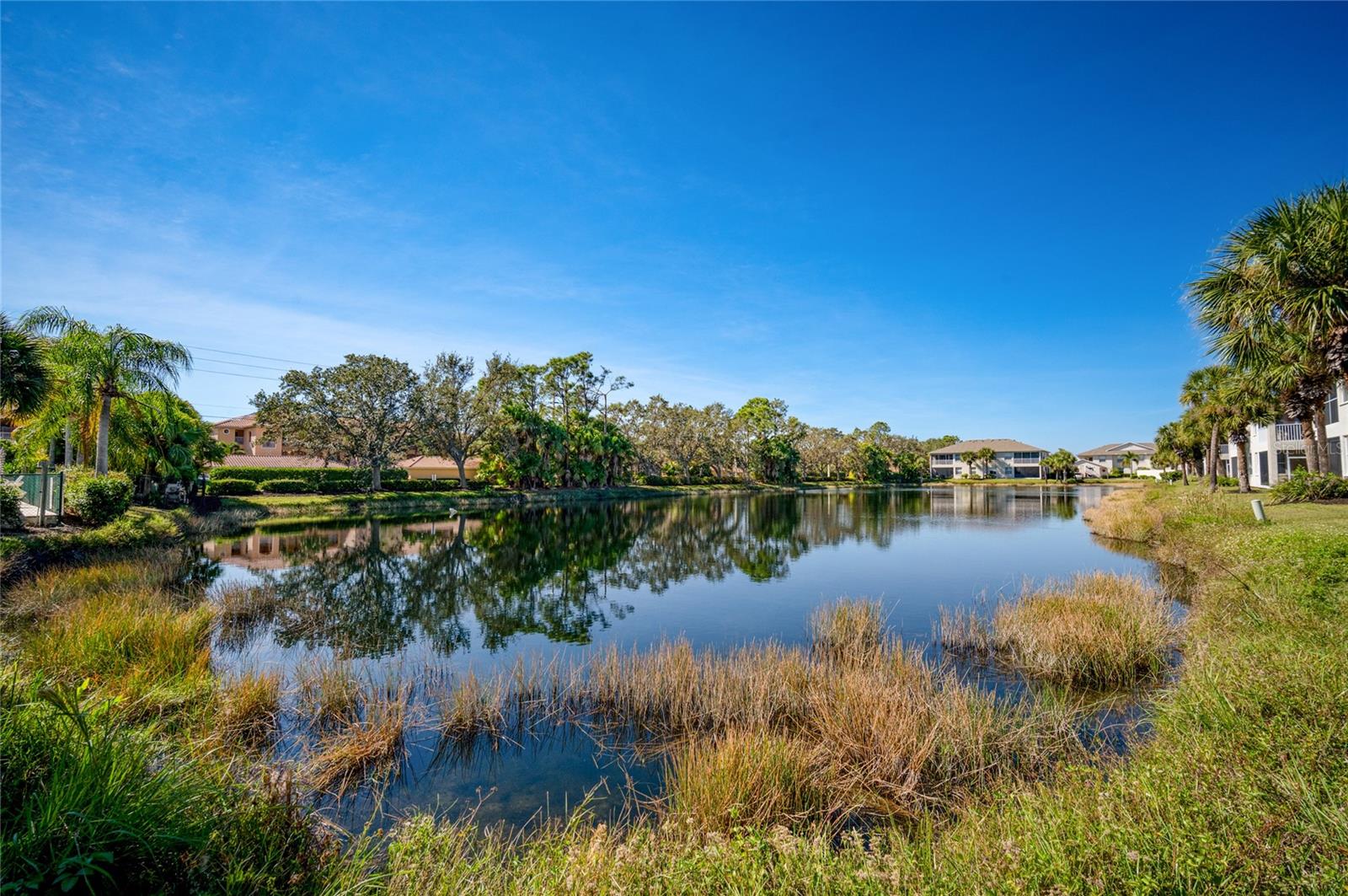 704 AUBURN LAKES CIR #4, #4