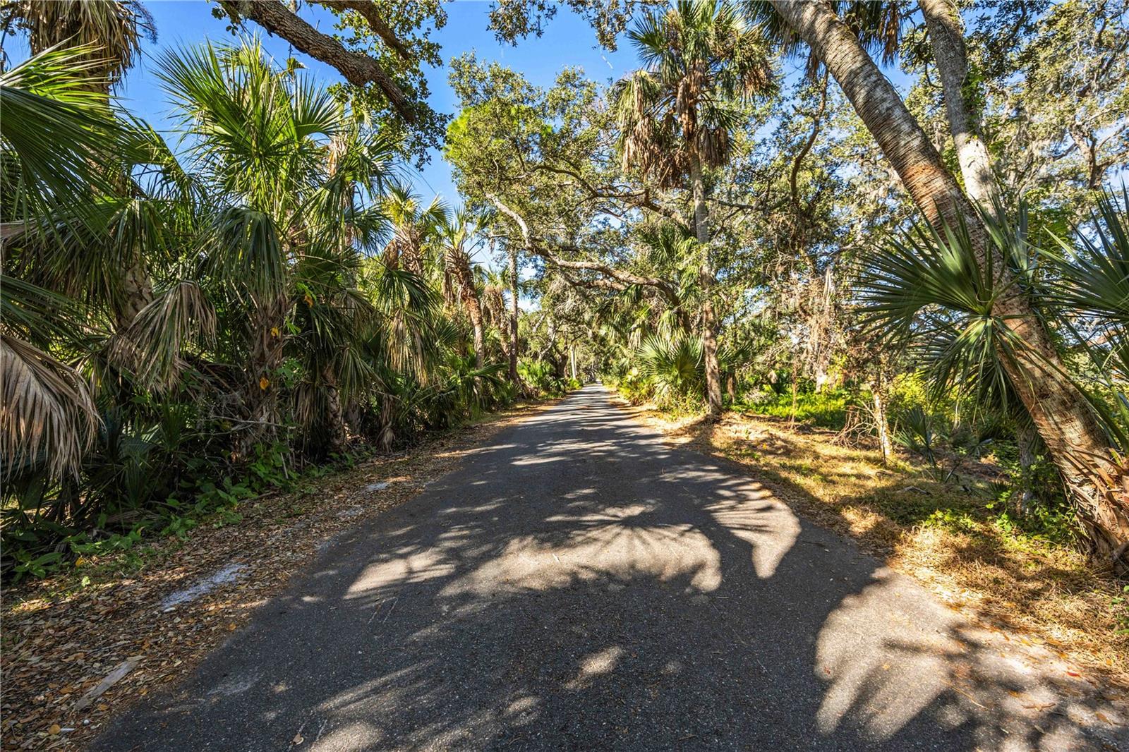 3440 BONITA DR