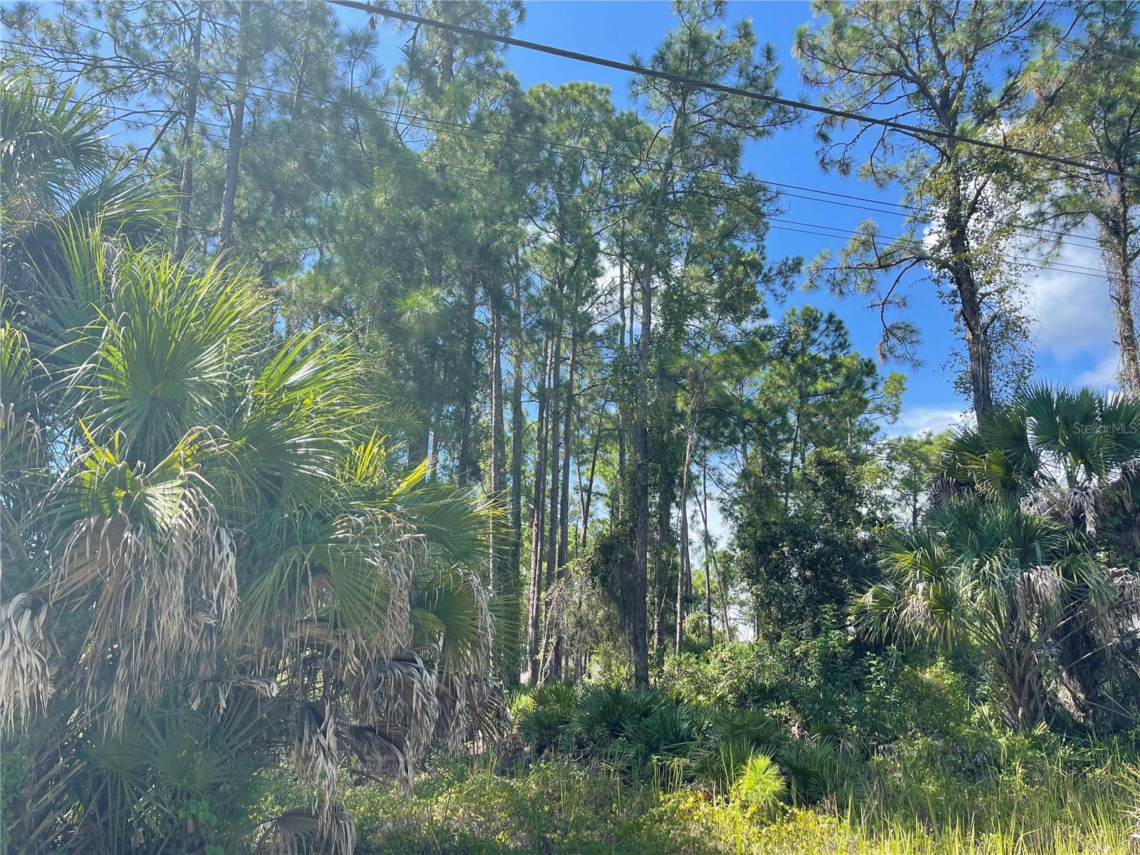 NOPPENBERG AVE #LOT 30, #LOT 30