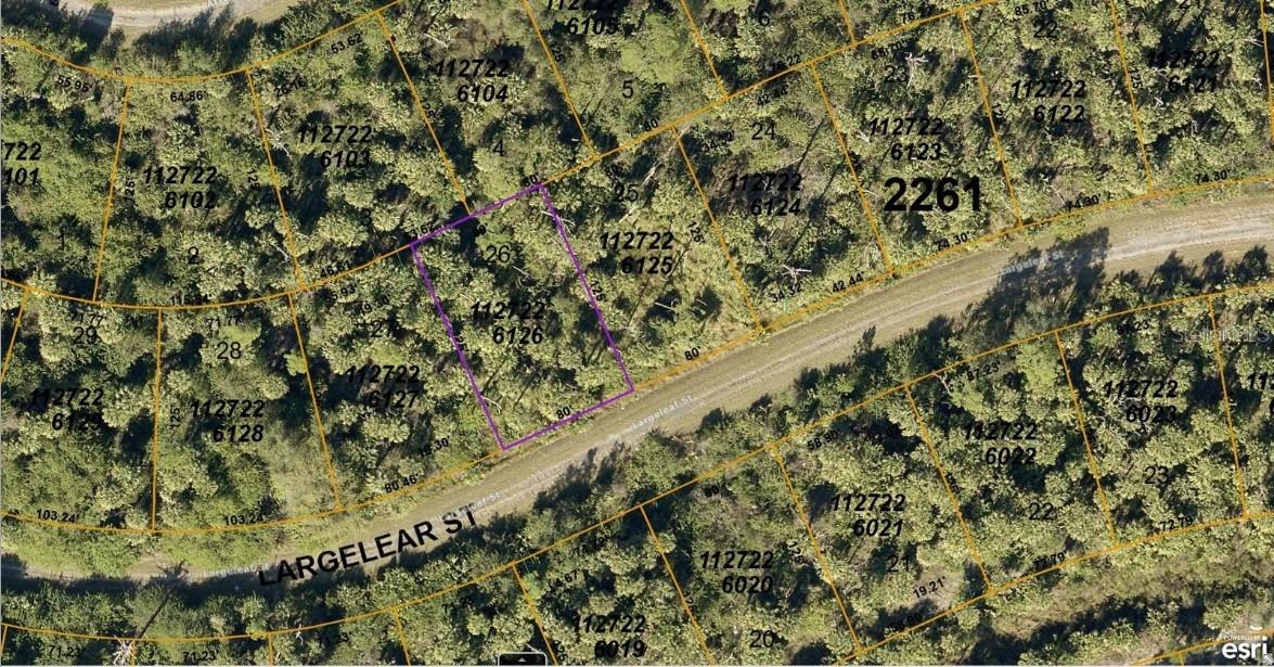 1127226126 LARGELEAF ST