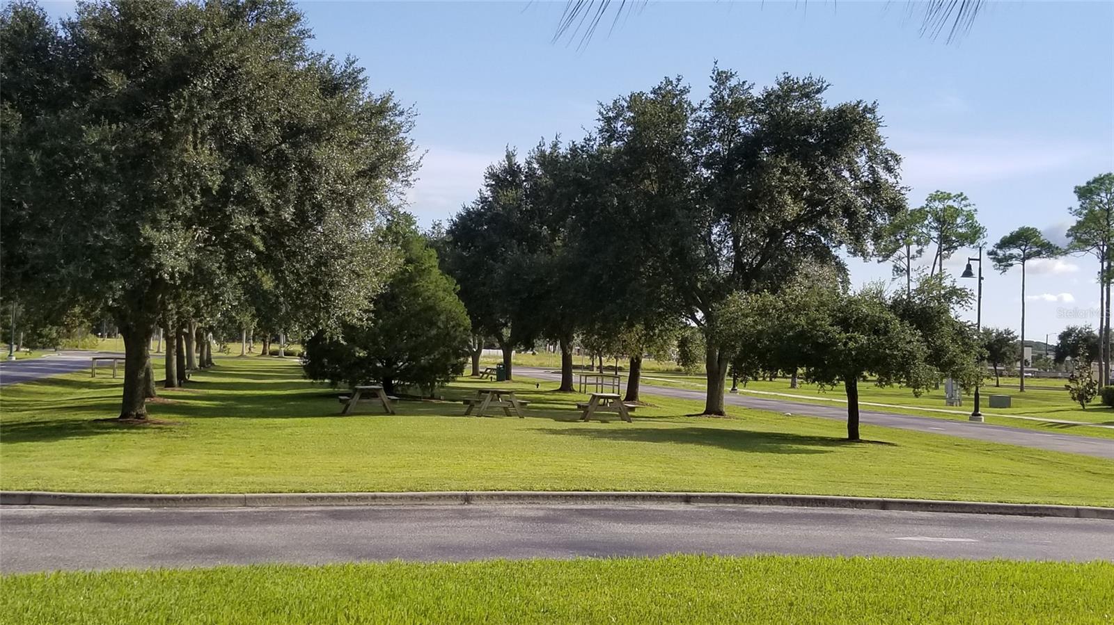 1127226126 LARGELEAF ST