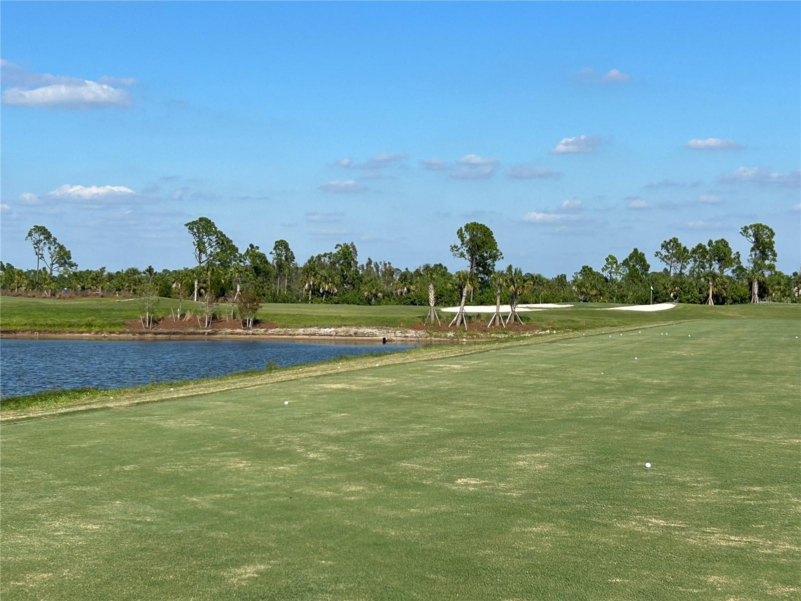 12140 WELLEN GOLF ST #404, #404