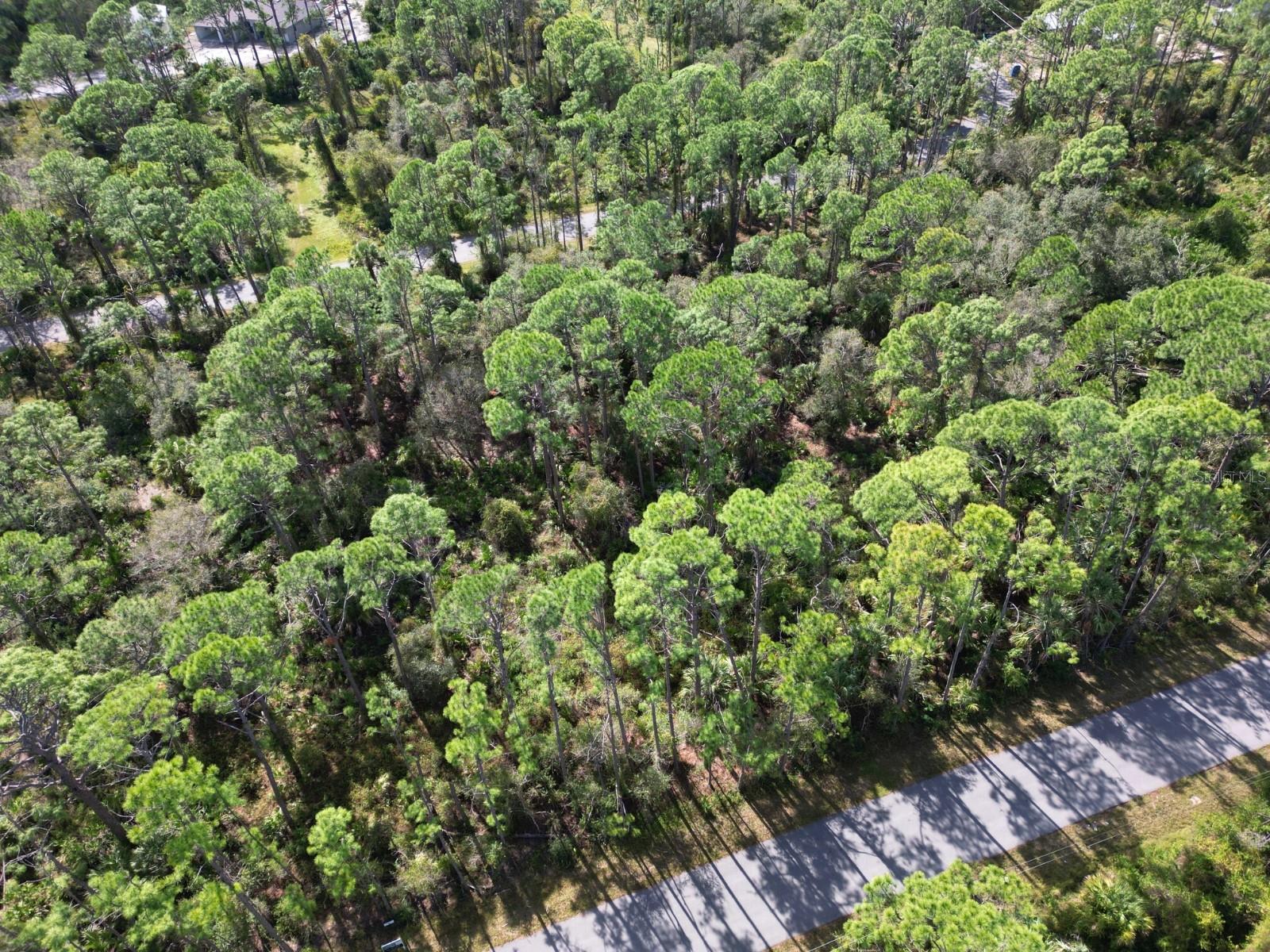 MONCRIEF AVE