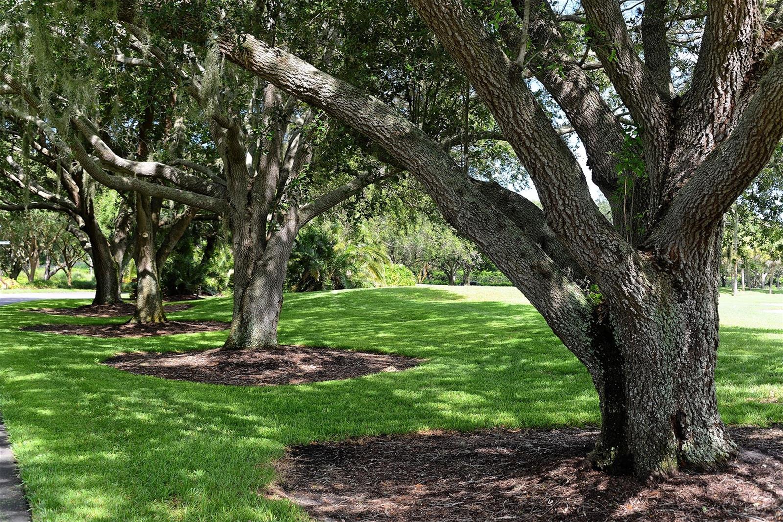 409 N POINT RD #501, #501