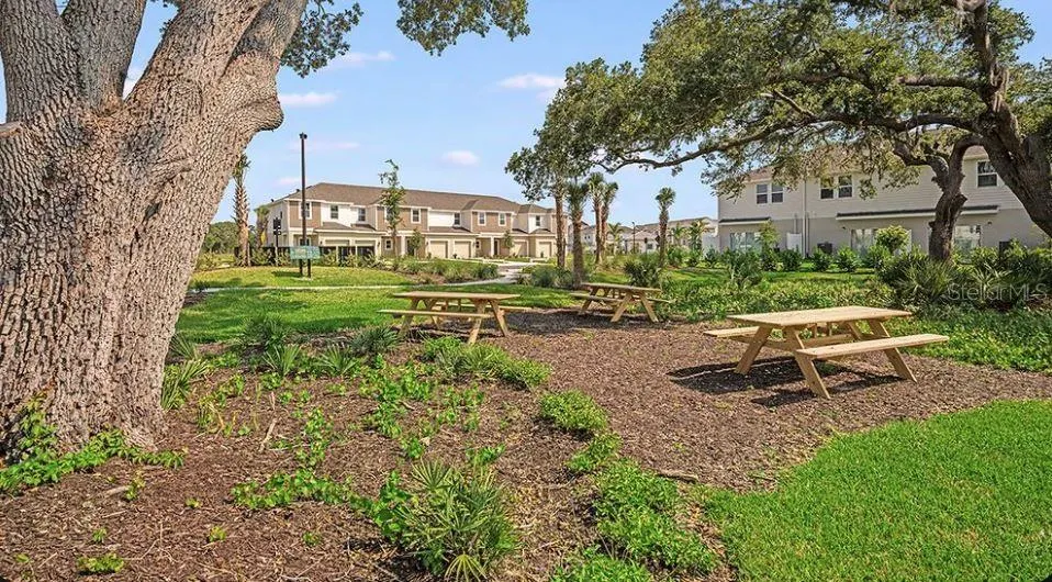 5889 BISCOTTI ST