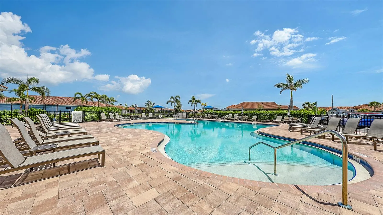 491 DAYLILY BLVD
