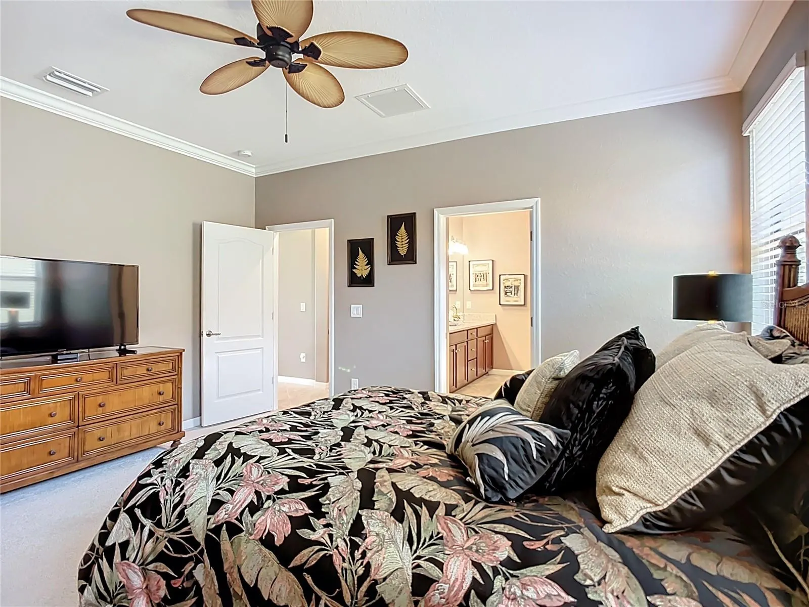 24137 SPARTINA DR