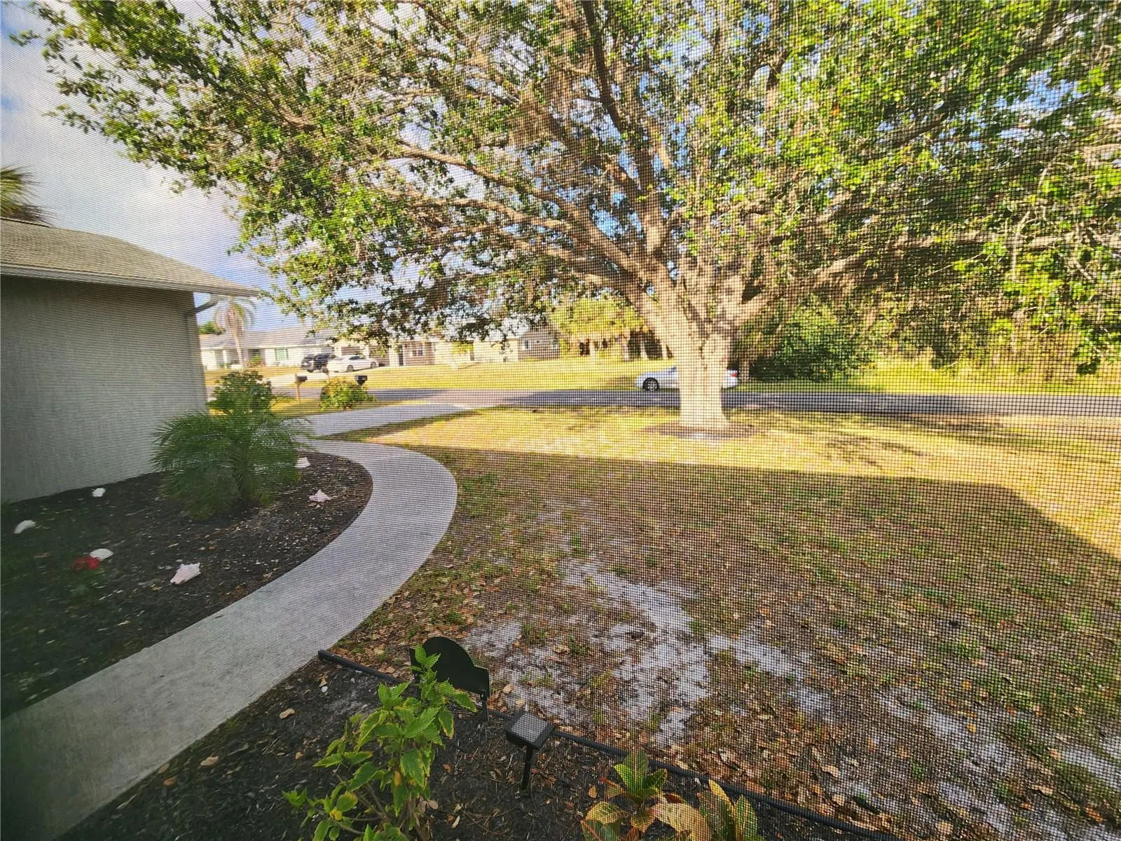 1229 CORAL LN