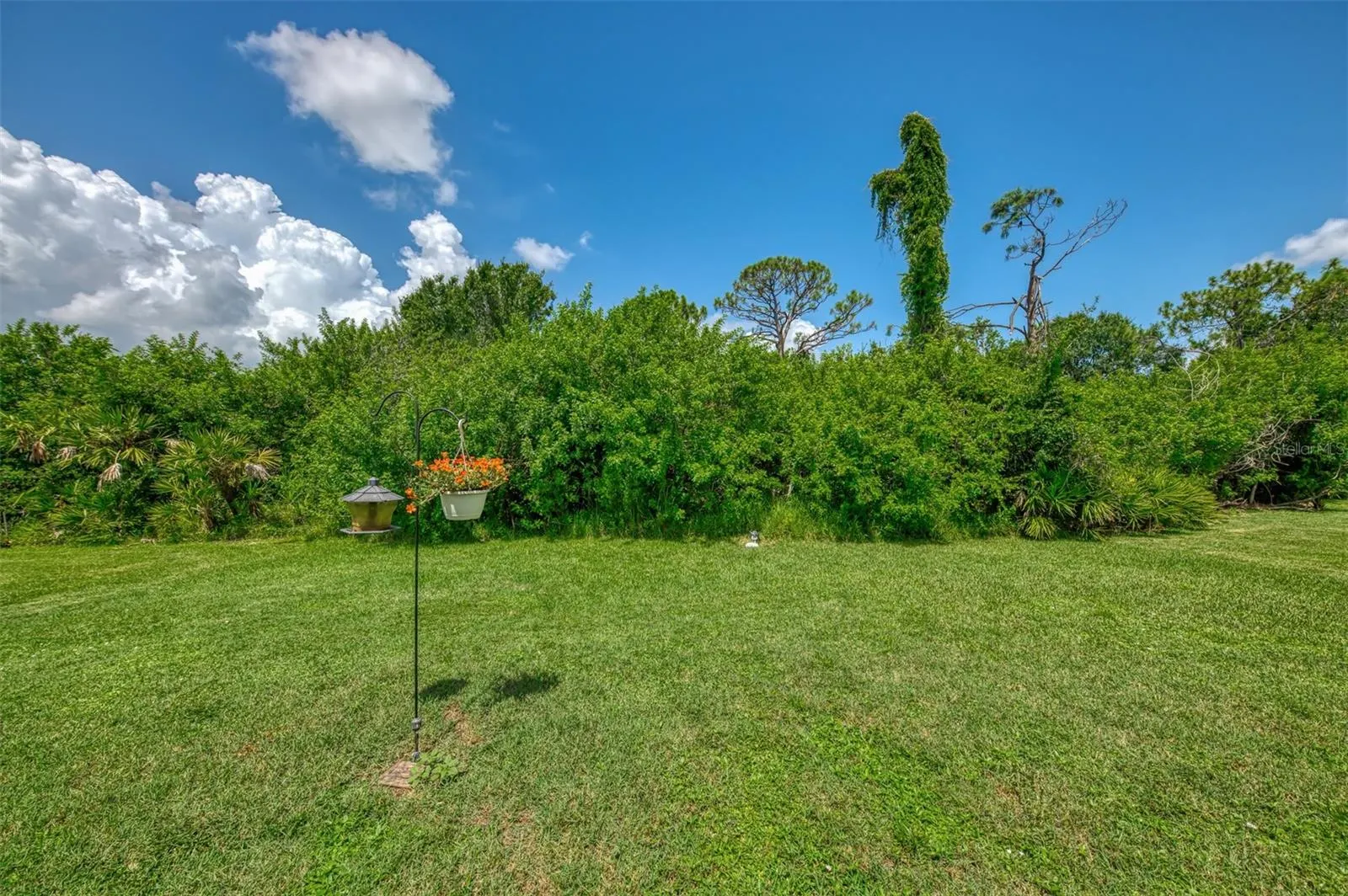 241 FAREHAM DR