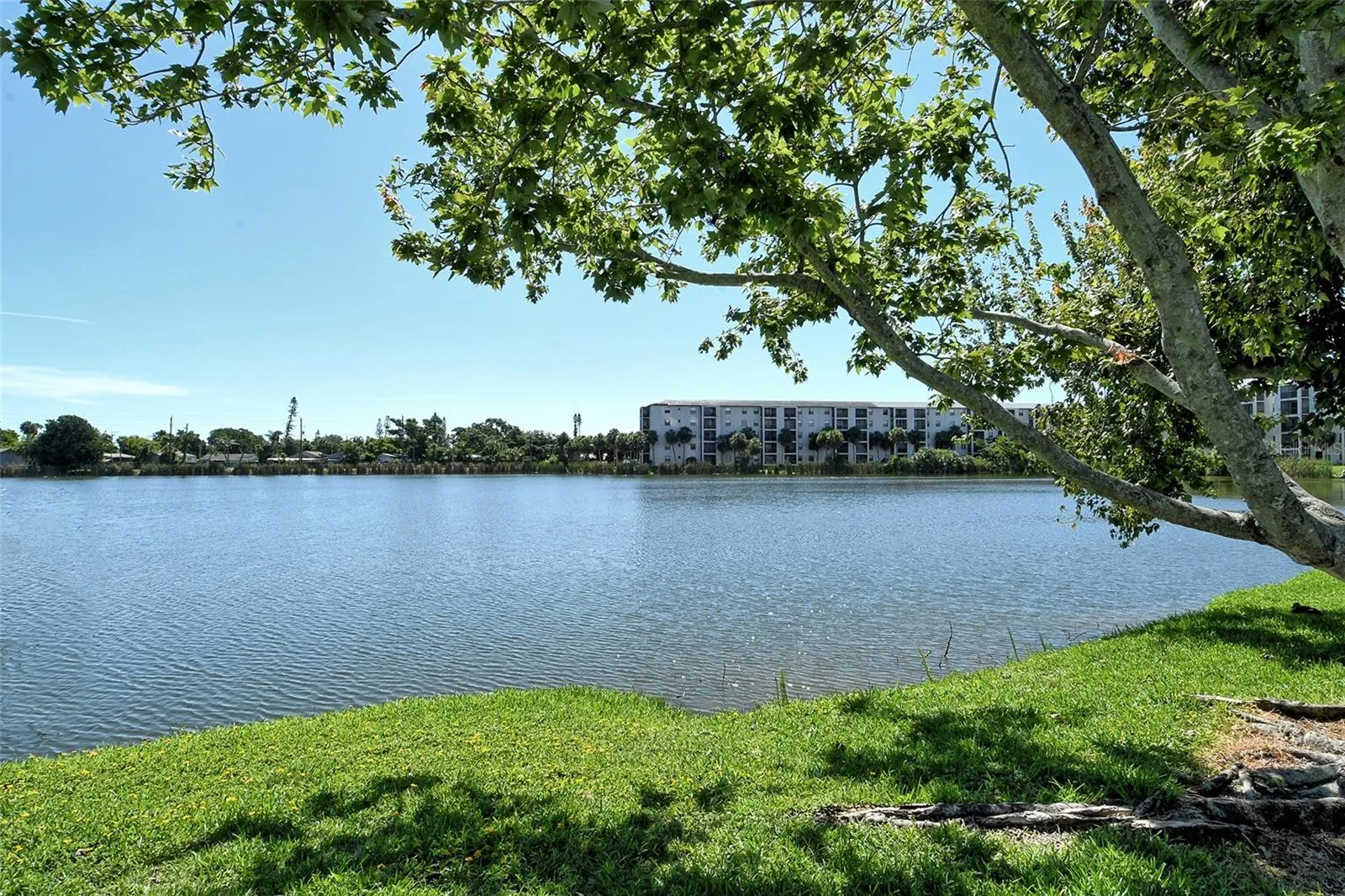 4130 HERON WAY #B-115, #B-115