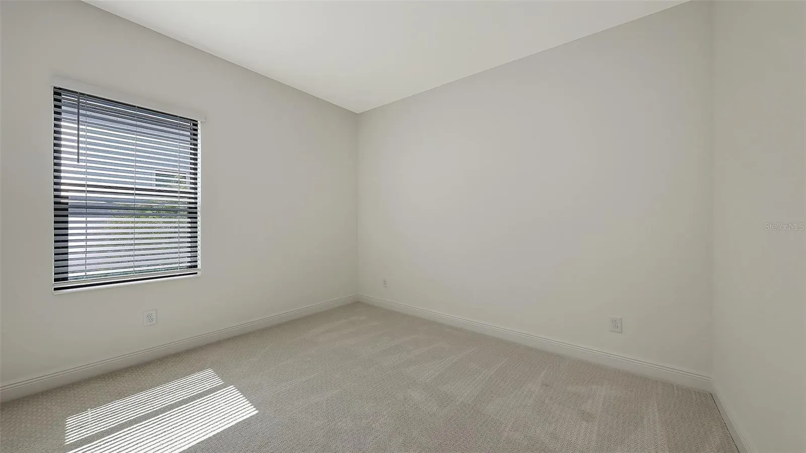 2234 LADY PALM LOOP