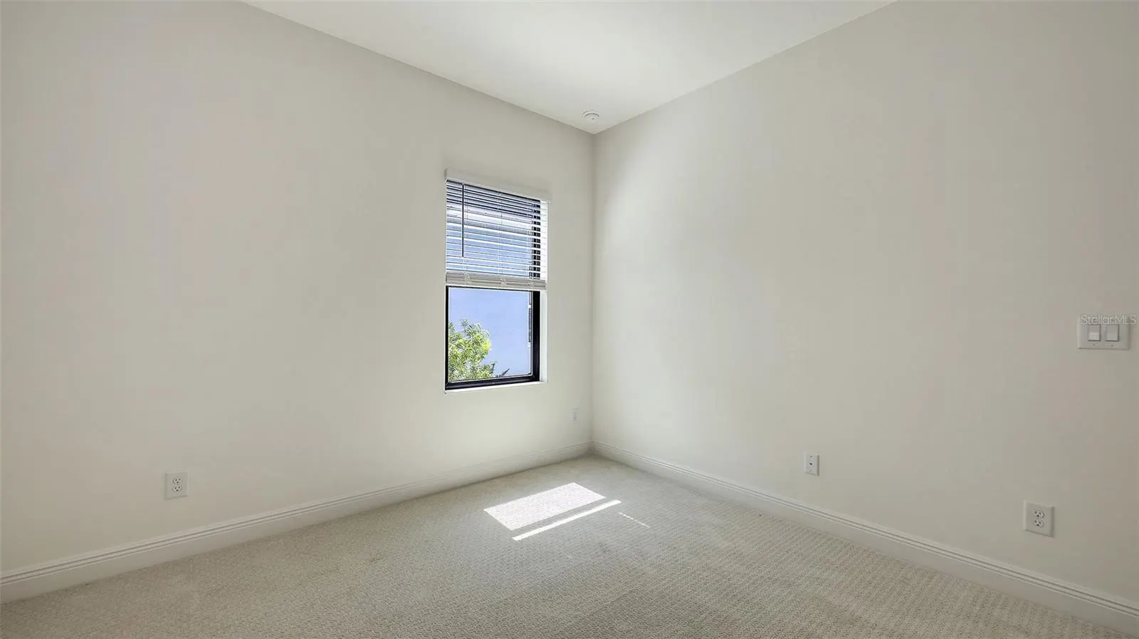 2234 LADY PALM LOOP