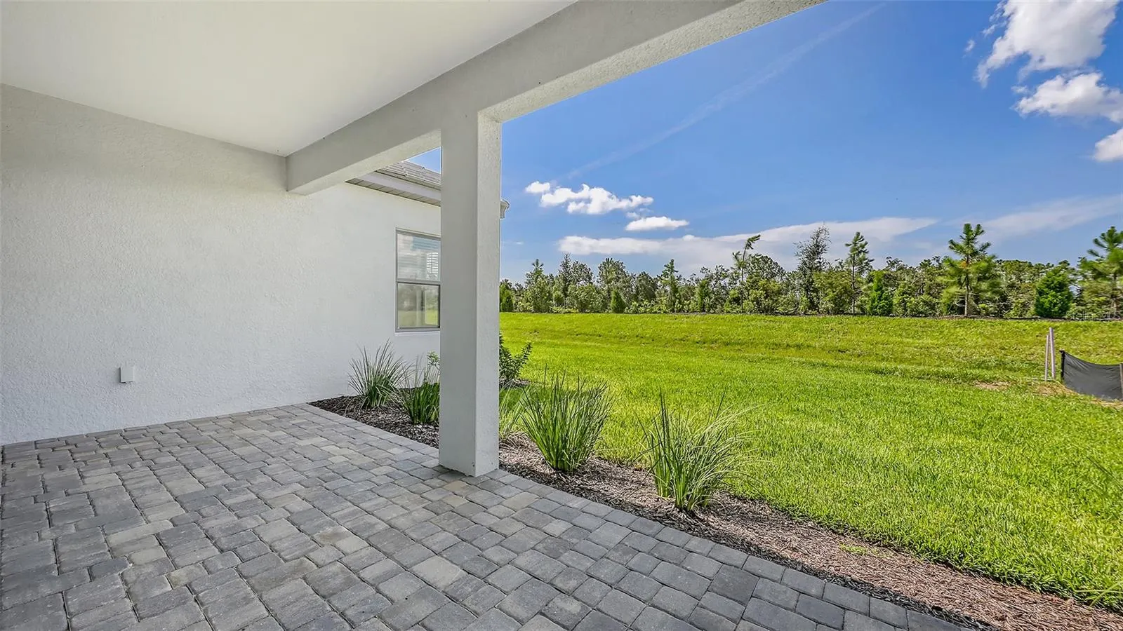 2234 LADY PALM LOOP