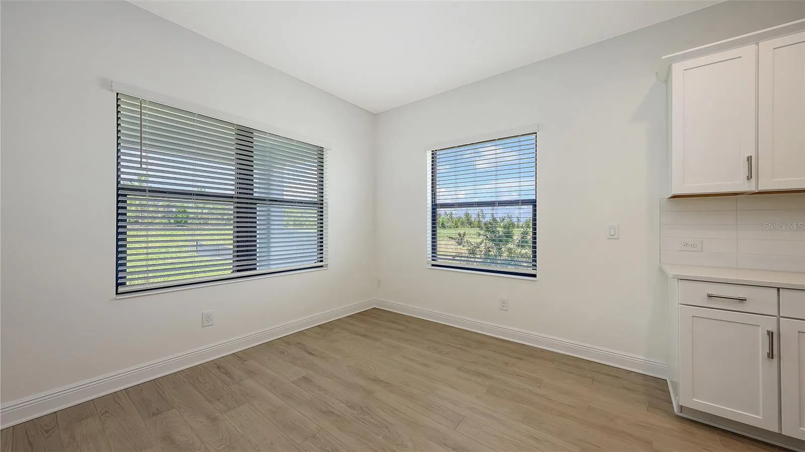 2234 LADY PALM LOOP