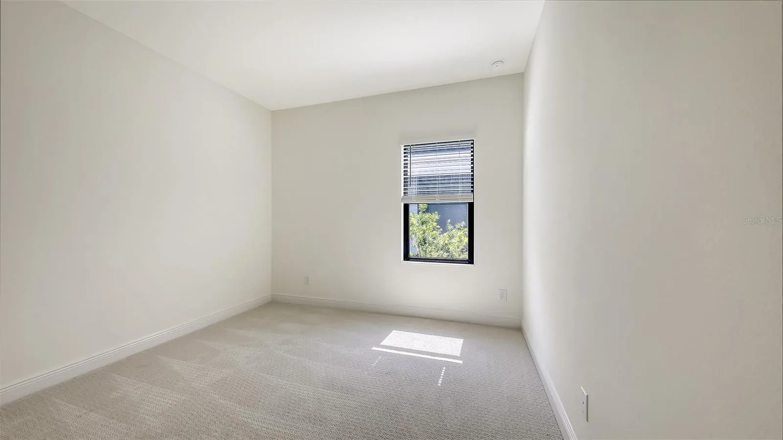 2234 LADY PALM LOOP