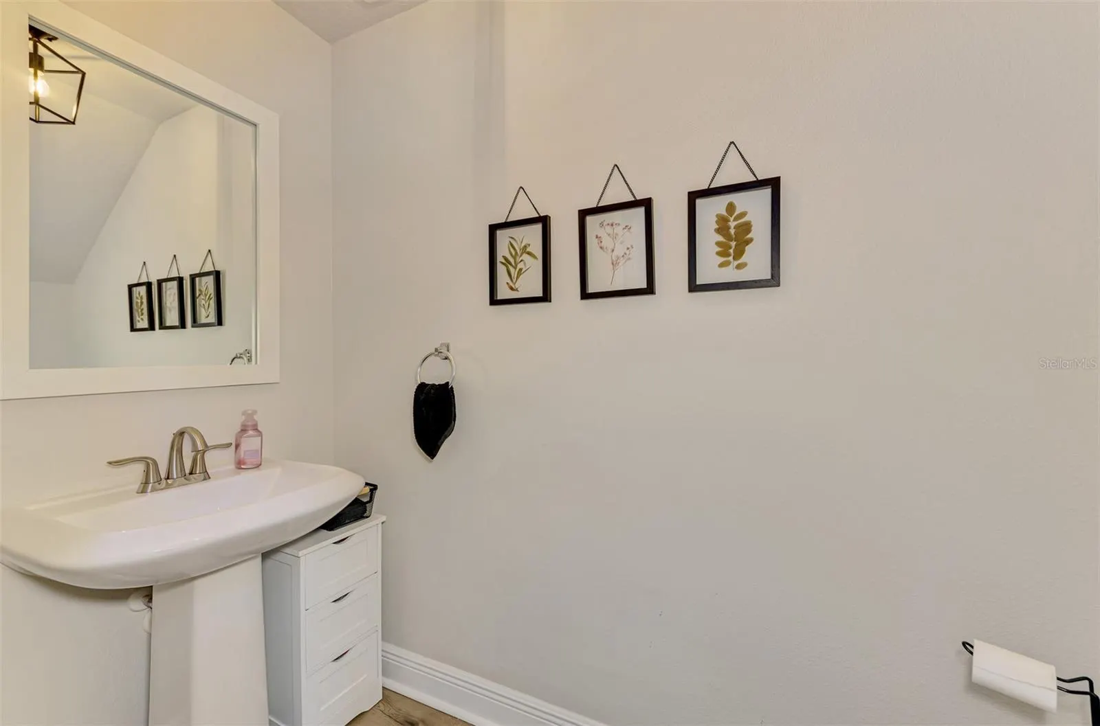 5523 SPANISH MOSS CV