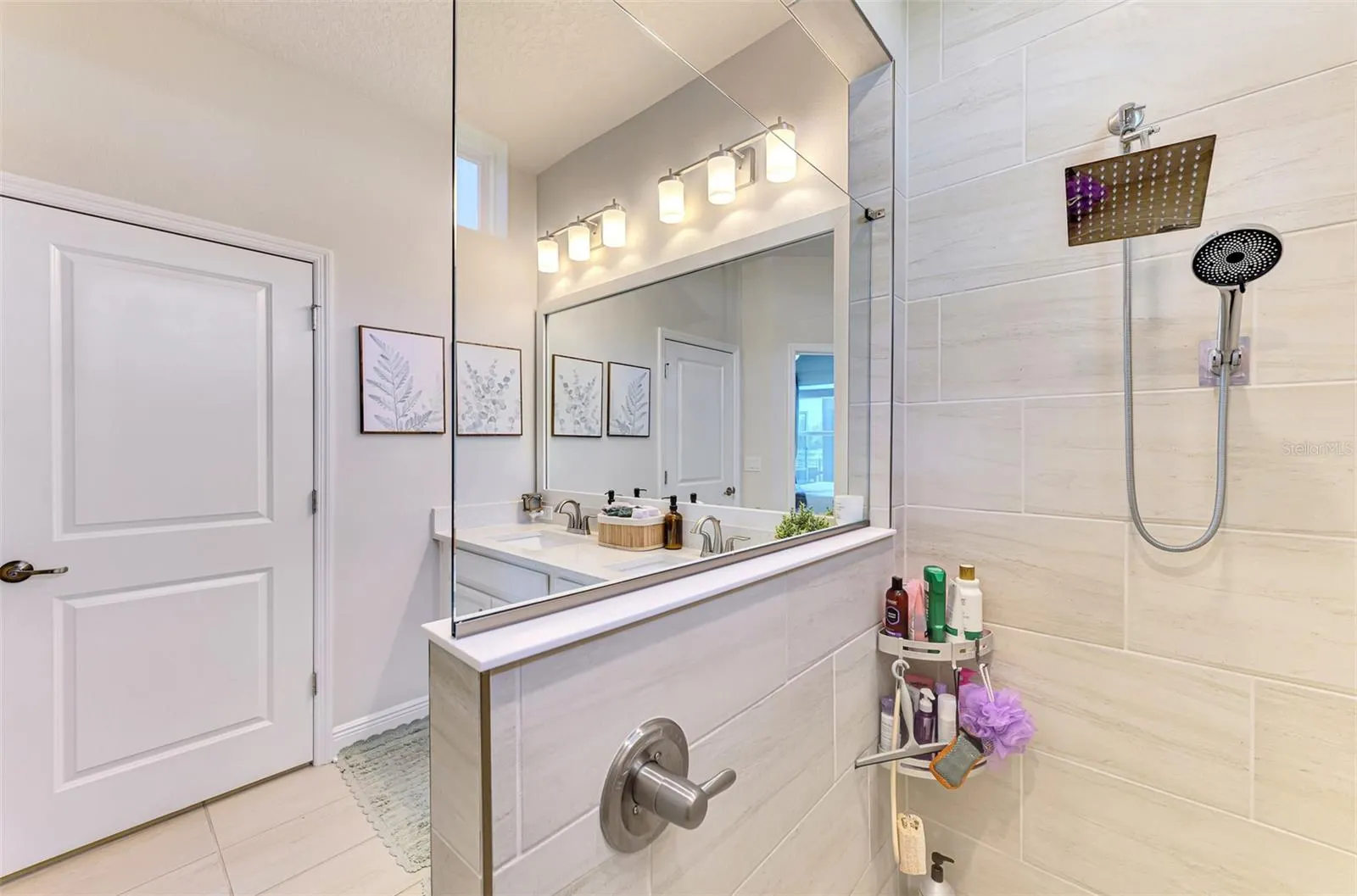 5523 SPANISH MOSS CV