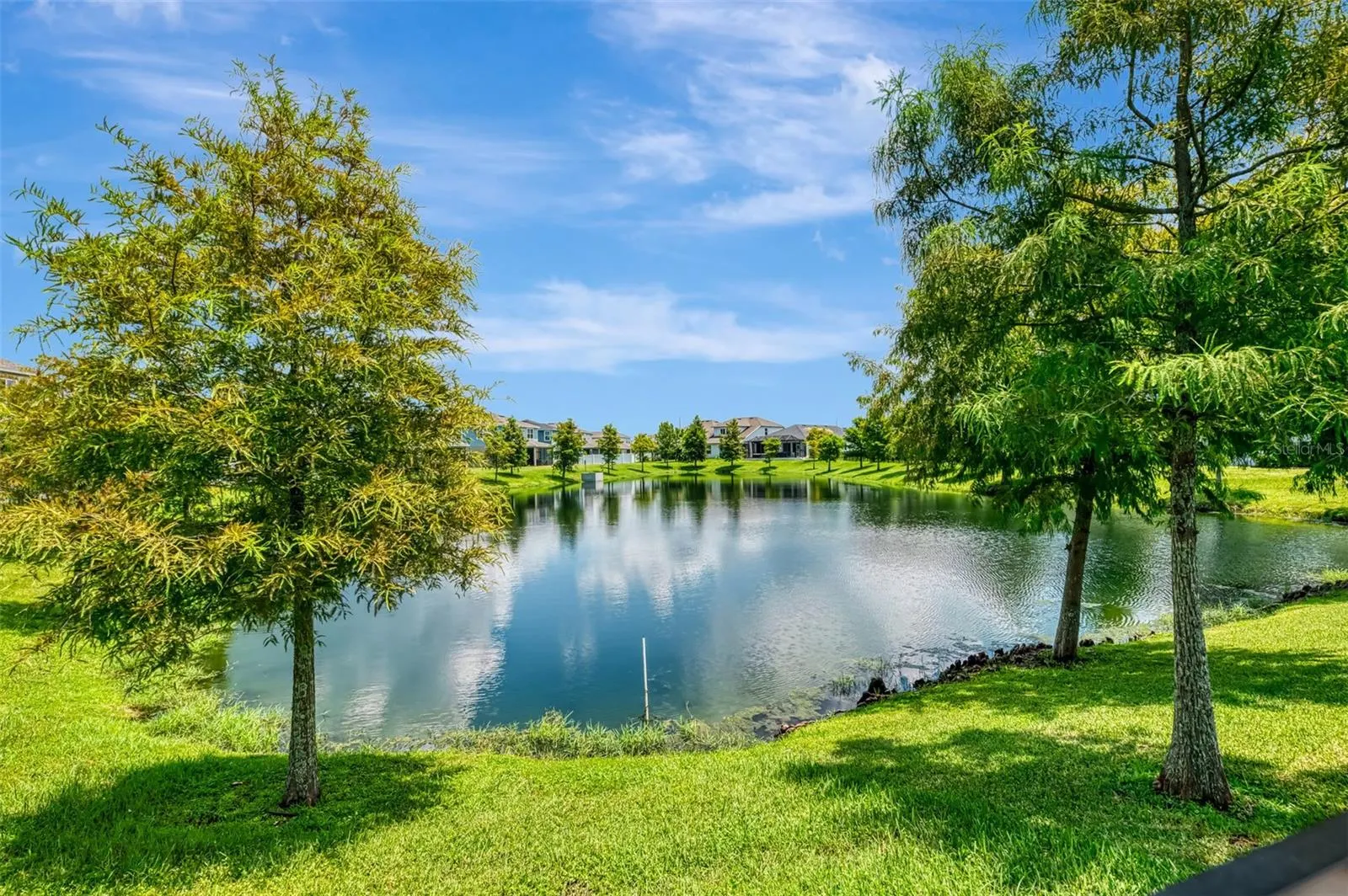 5523 SPANISH MOSS CV