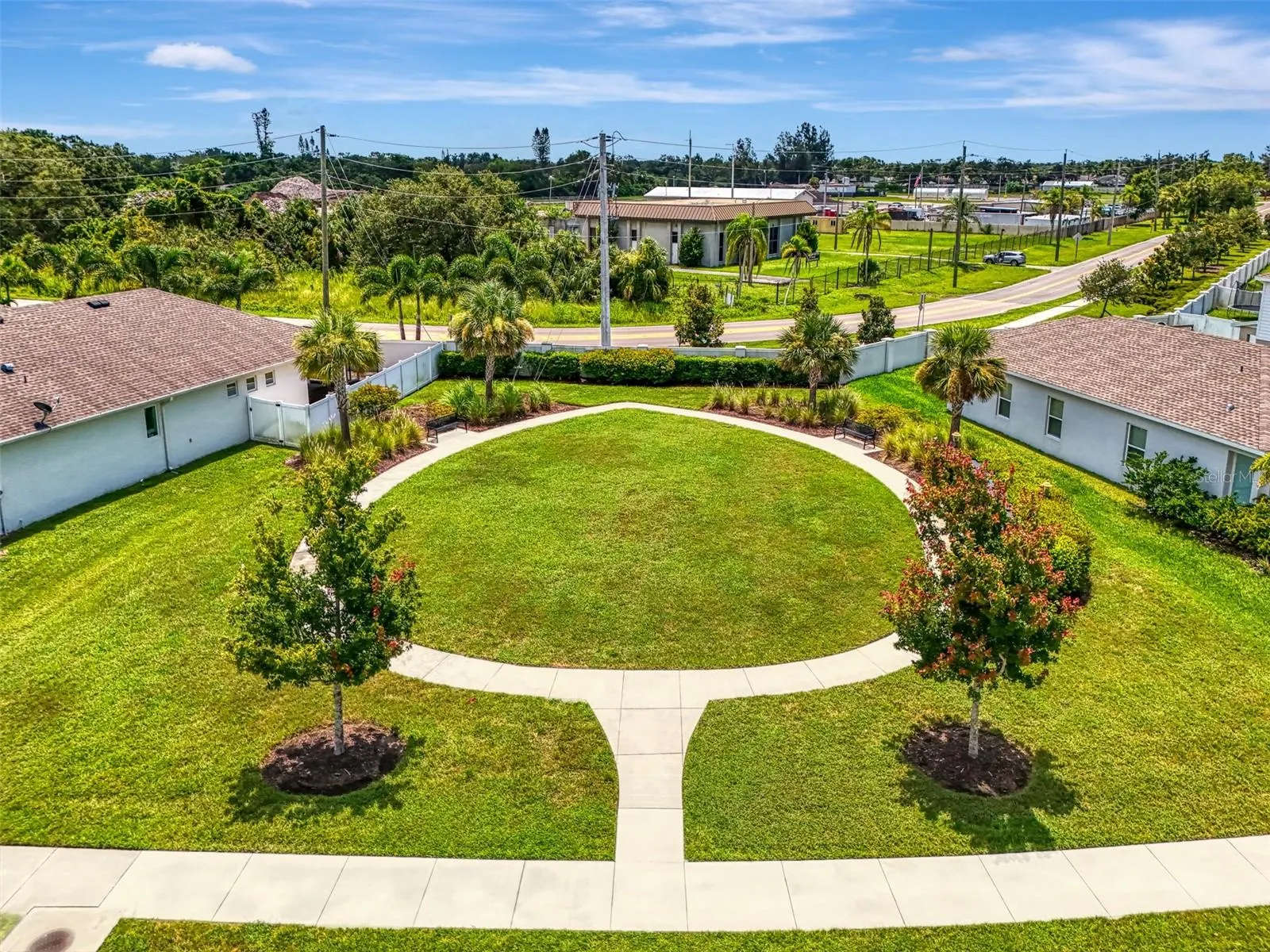 5523 SPANISH MOSS CV