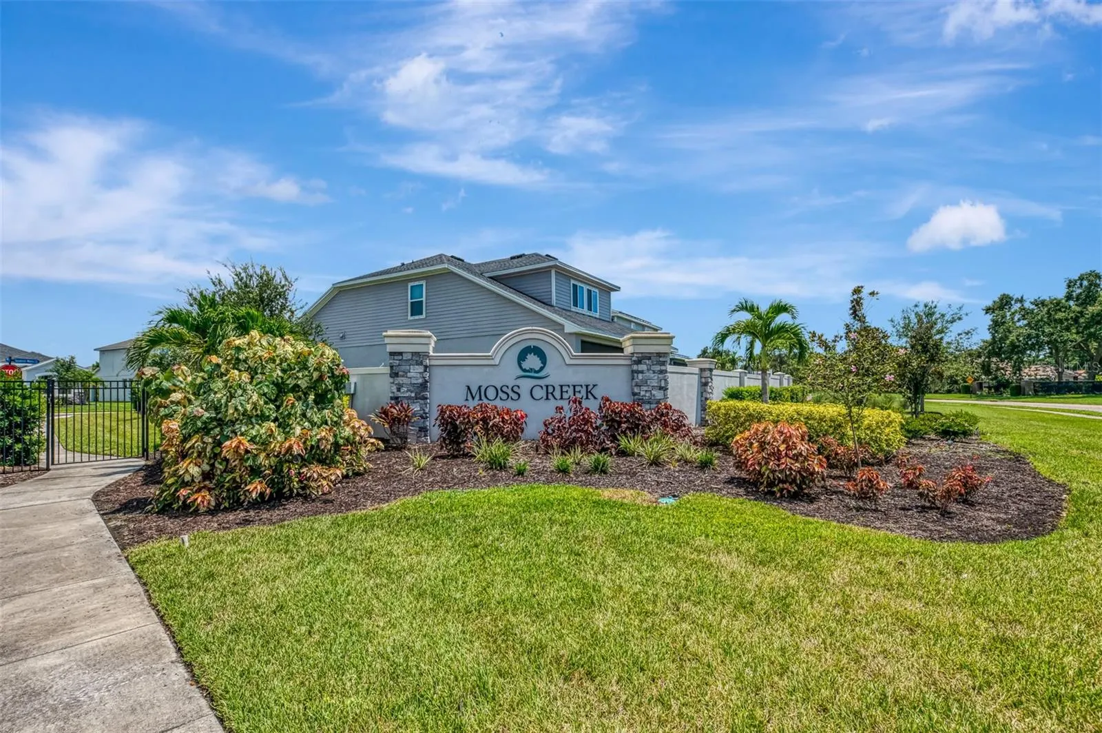 5523 SPANISH MOSS CV