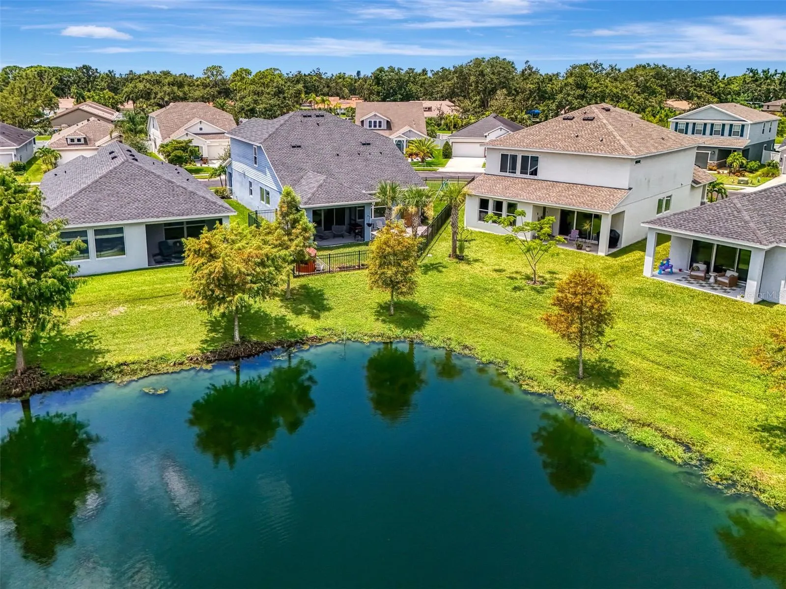 5523 SPANISH MOSS CV