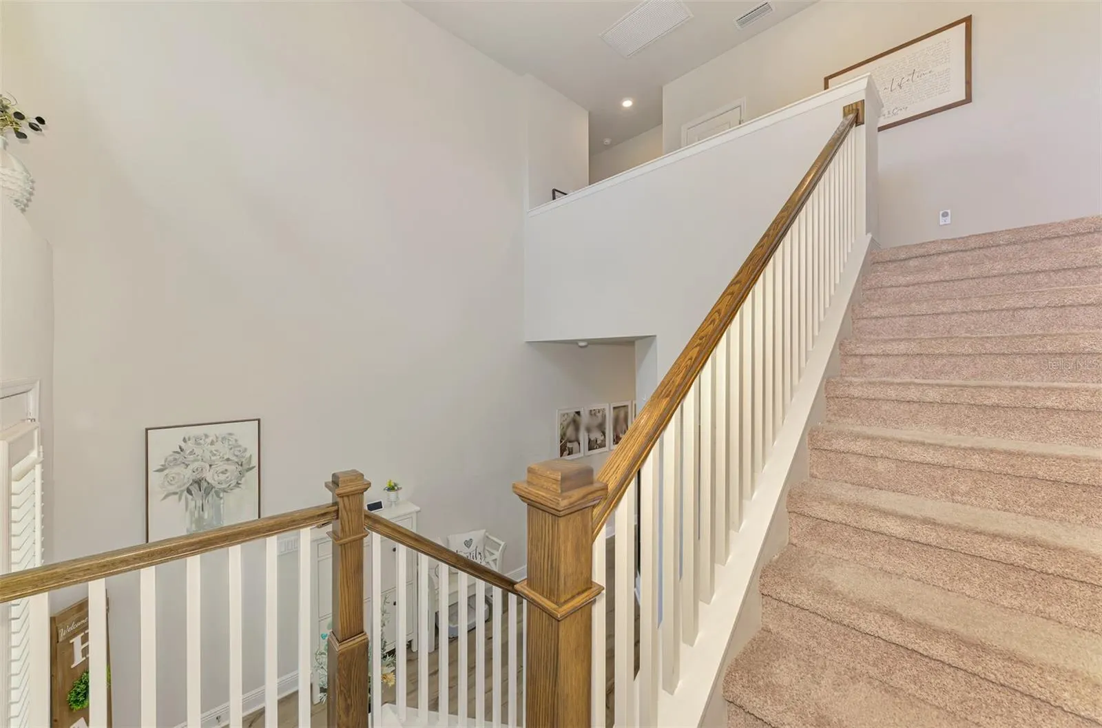 5523 SPANISH MOSS CV