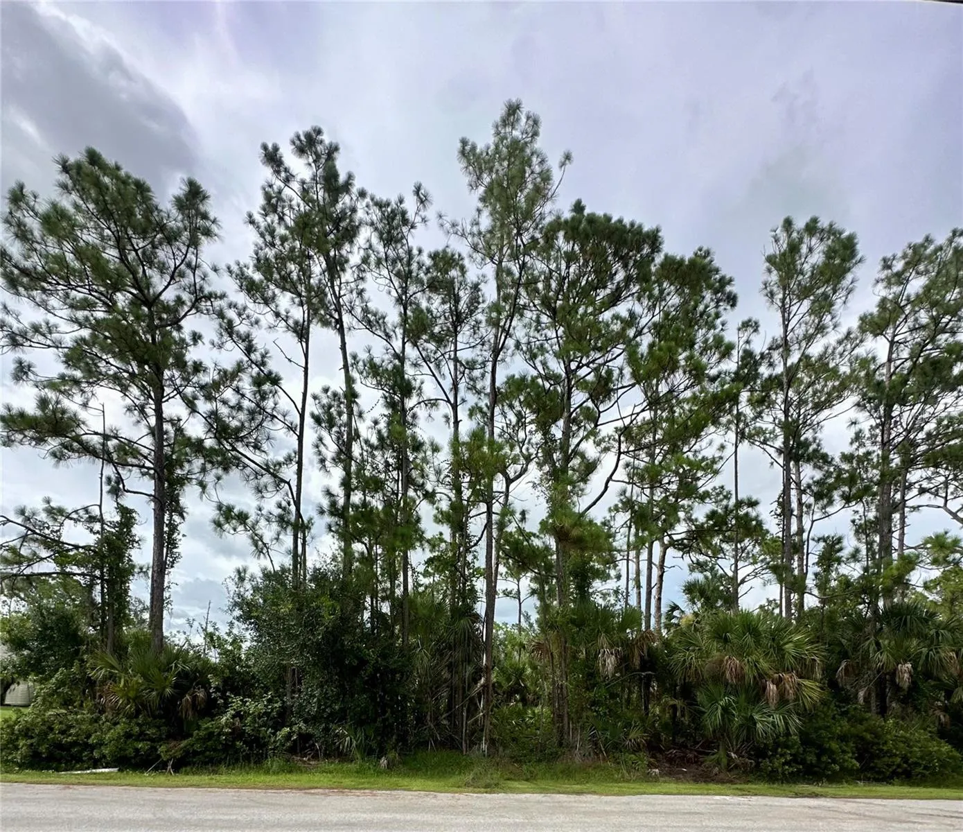 Lot 16 DONATELLO AVE