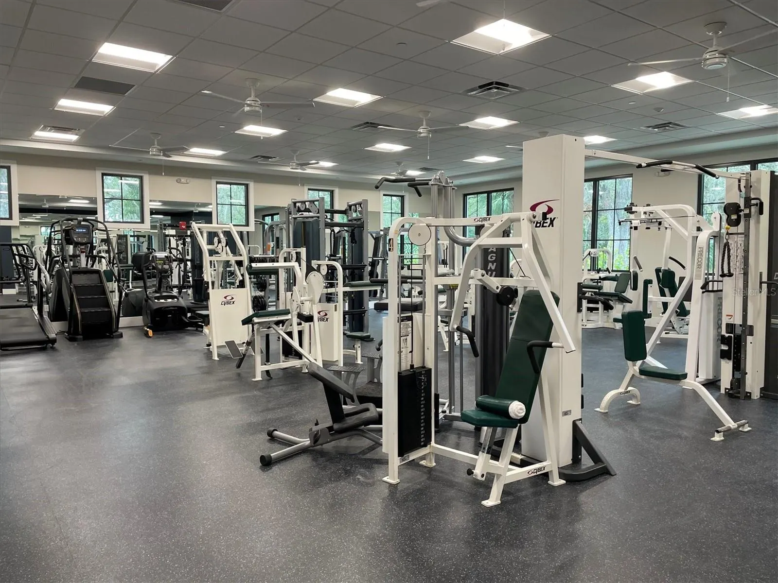 4602 RINGWOOD MDW #13, #13