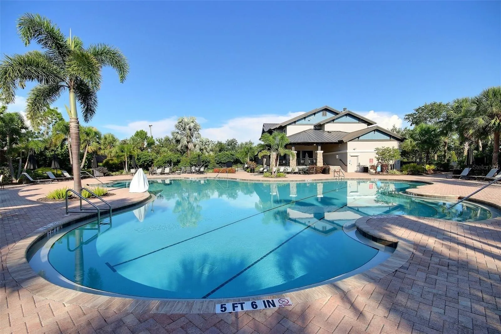 10567 PIEDRA DR
