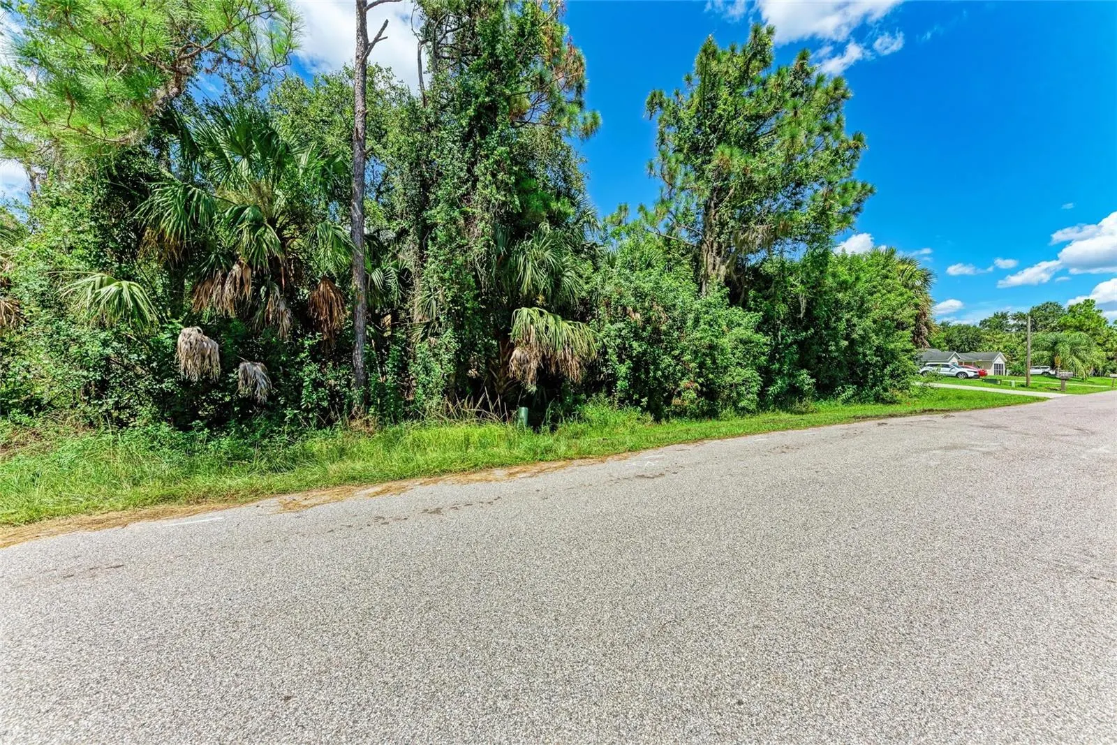 MCCAIN LN