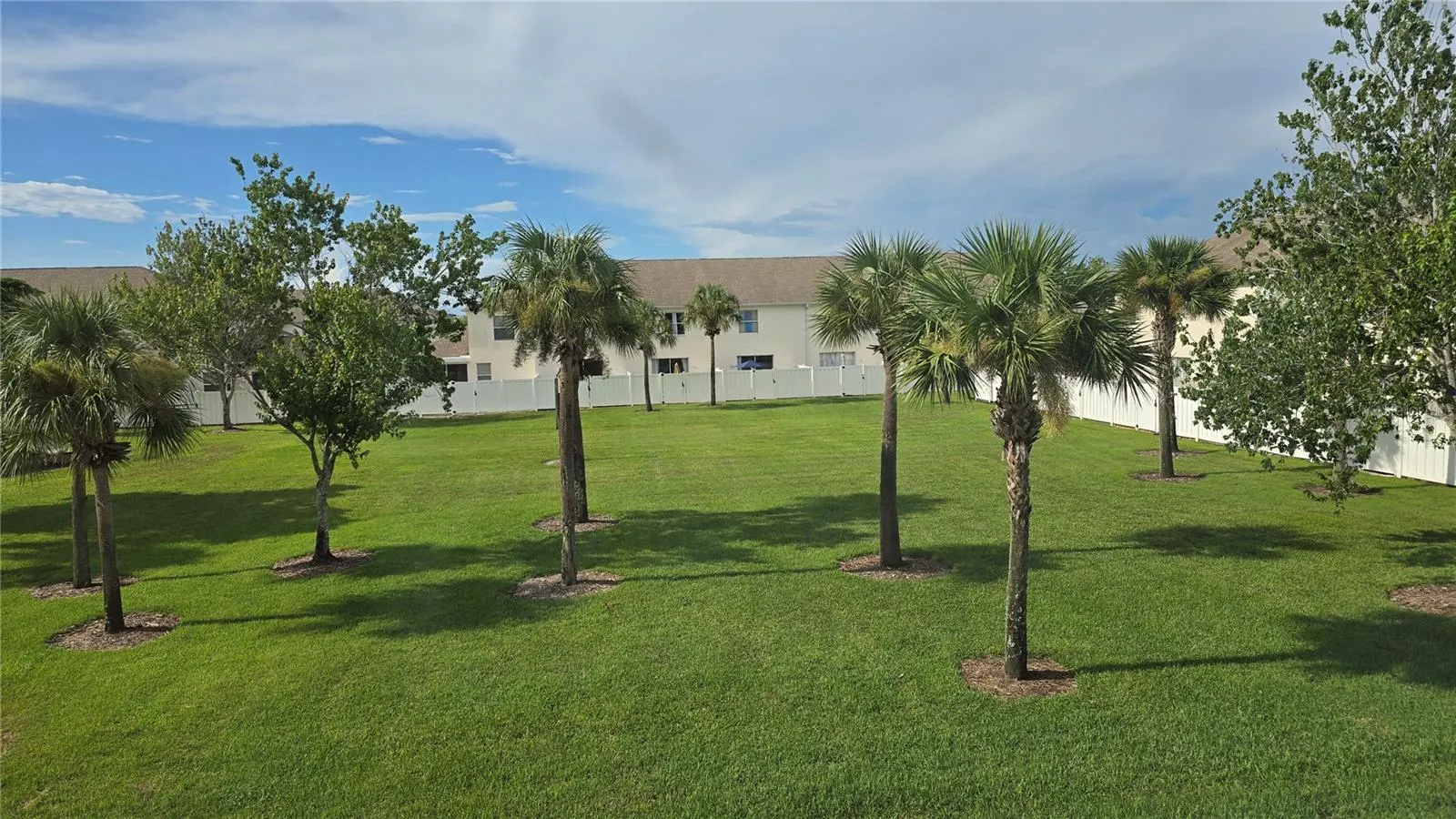 3005 PALMETTO OAK DR #102, #102