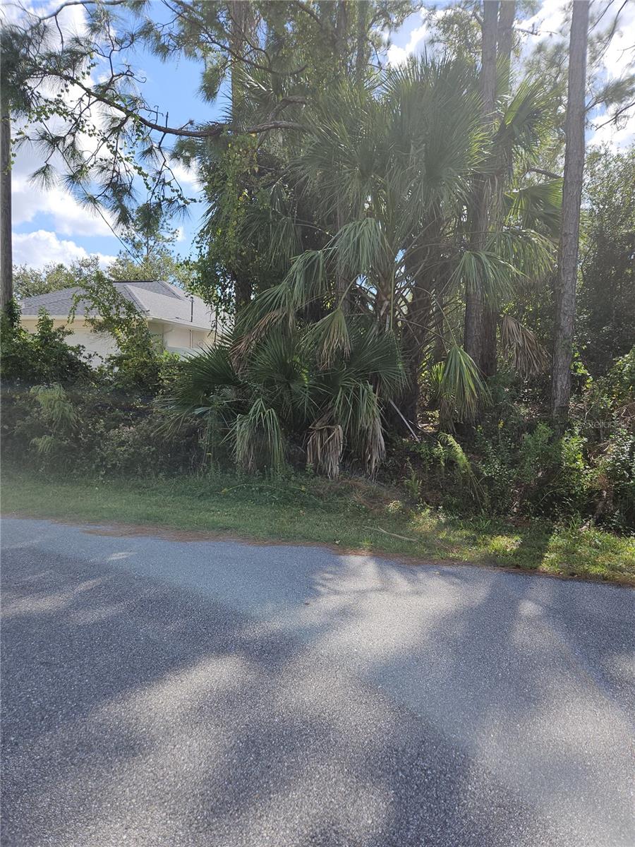 Lot 6 PETAL RD